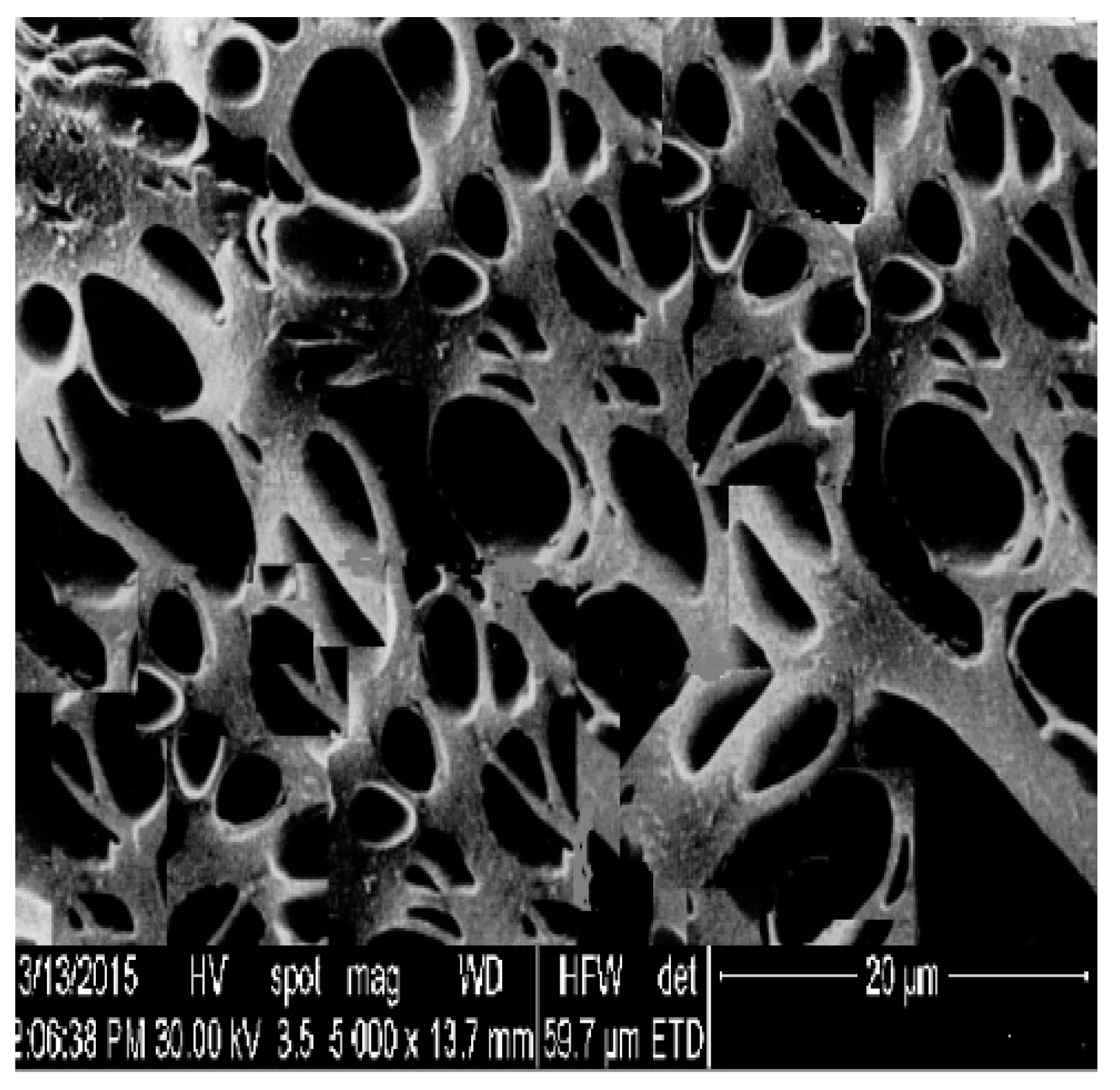 Applsci 11 01158 g004