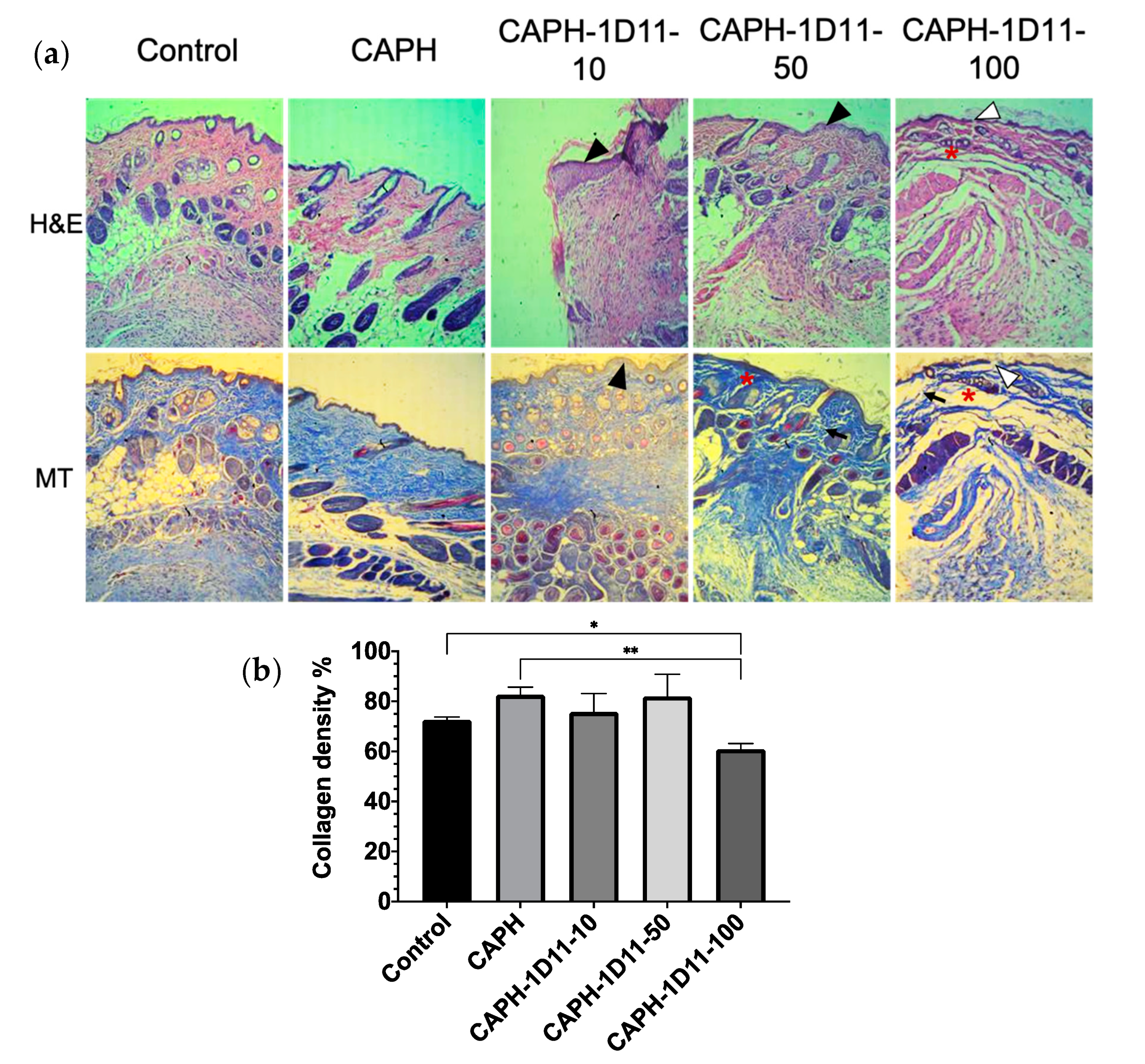 Applsci 11 01164 g003