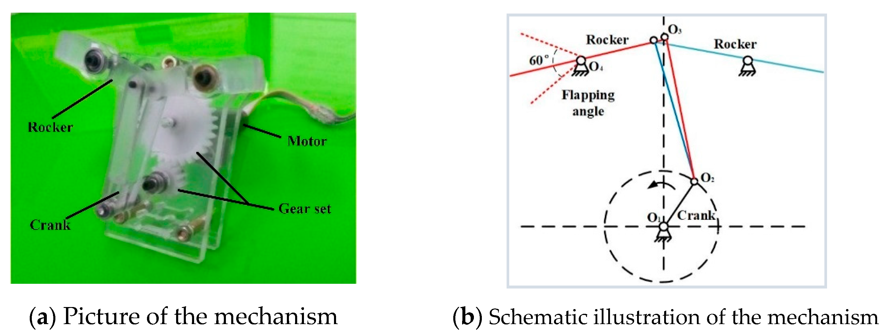 Applsci 11 01166 g001 Applsci 11 01166 g001