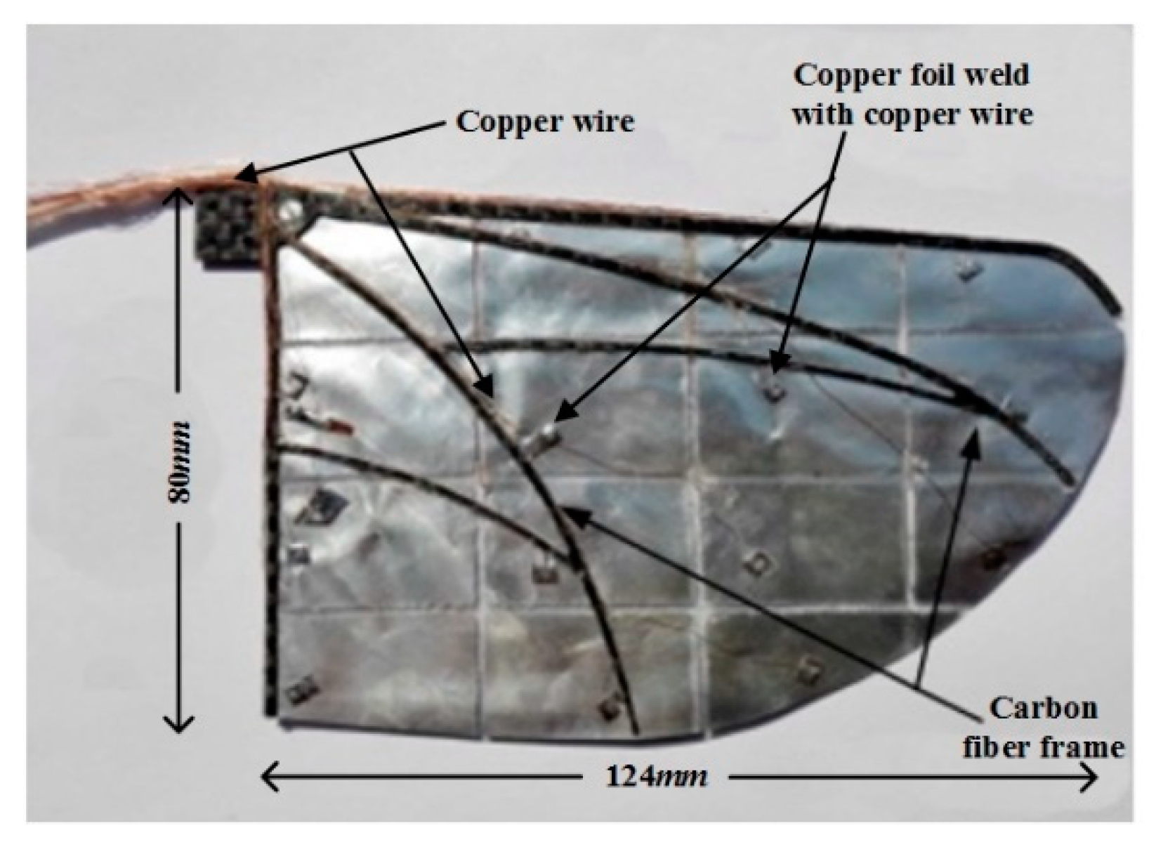 Applsci 11 01166 g002 Applsci 11 01166 g002