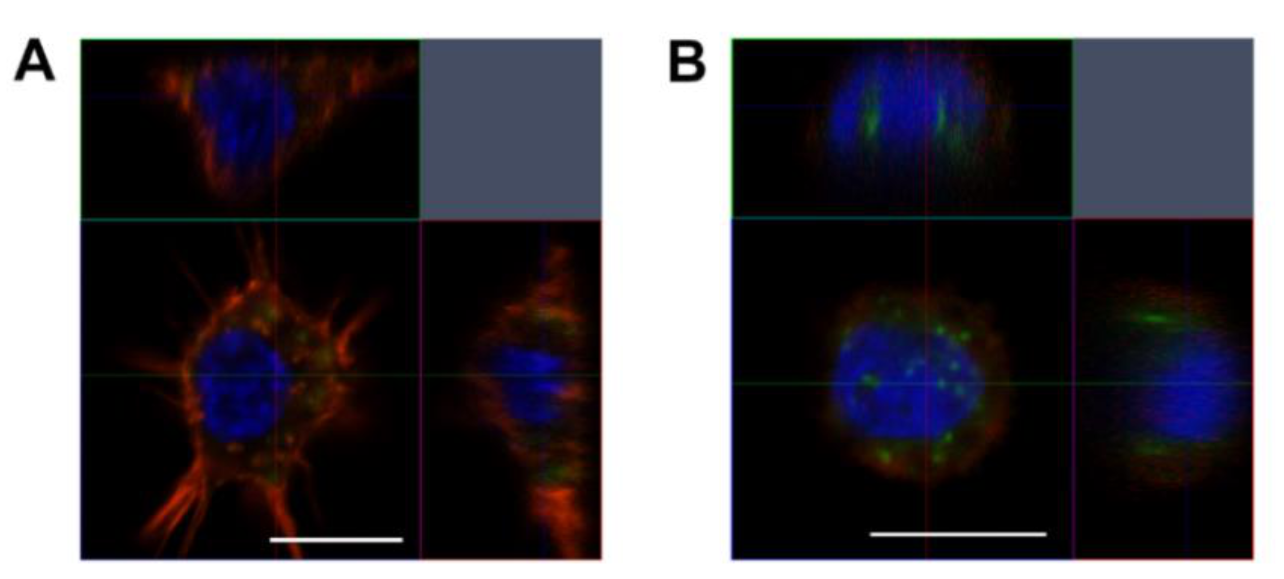 Applsci 11 01174 g005