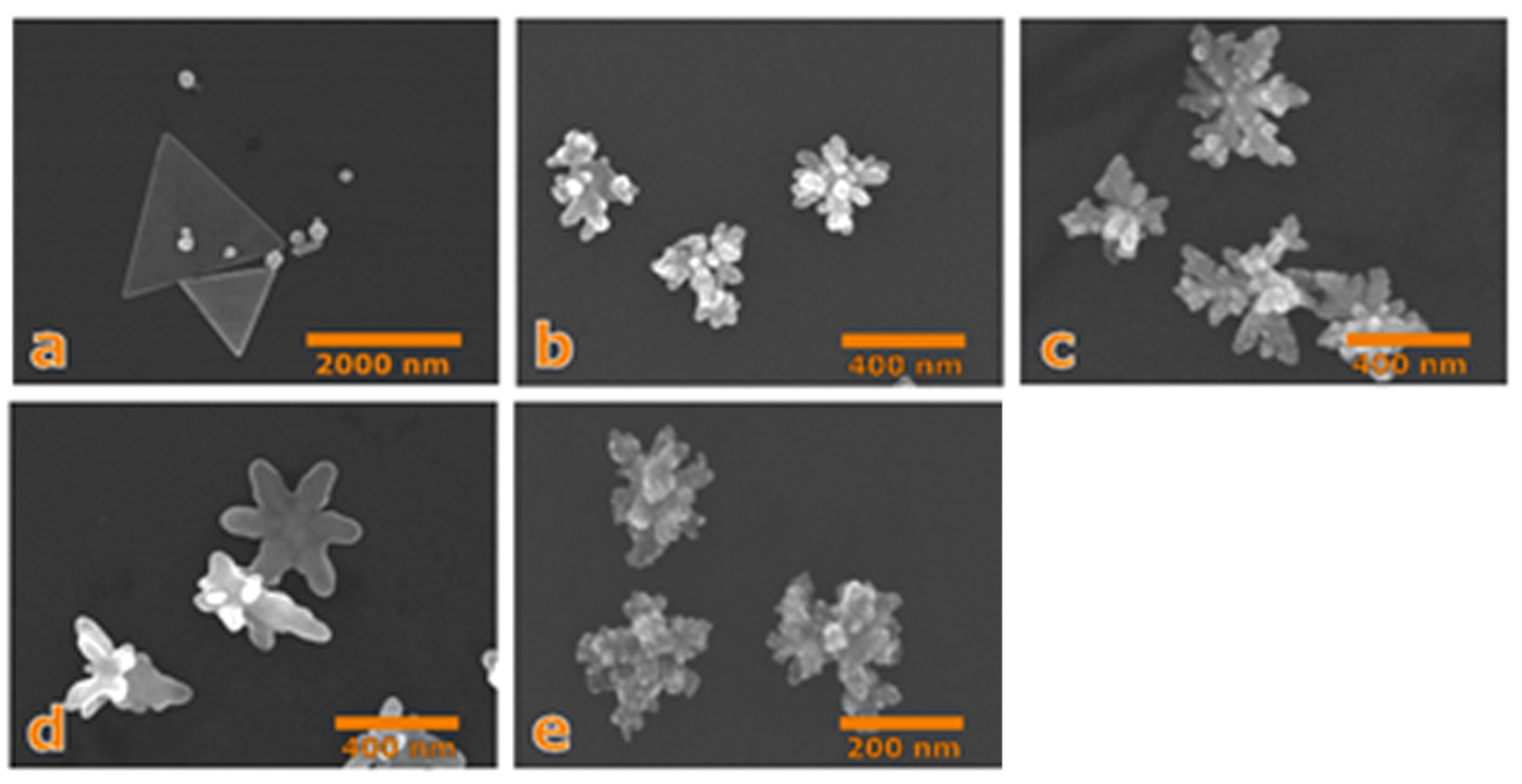 Applsci 11 01191 g008 Applsci 11 01191 g008