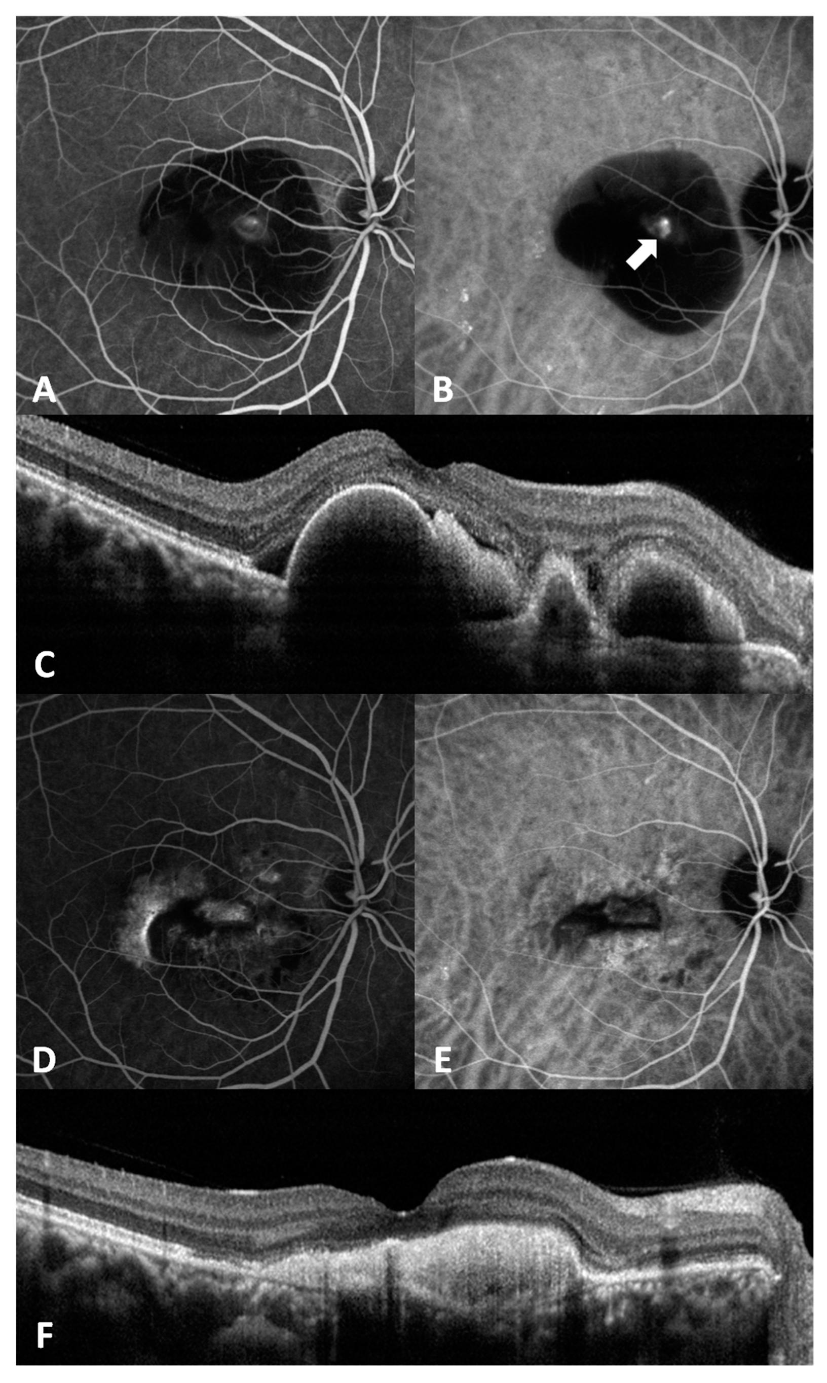Applsci 11 01194 g003