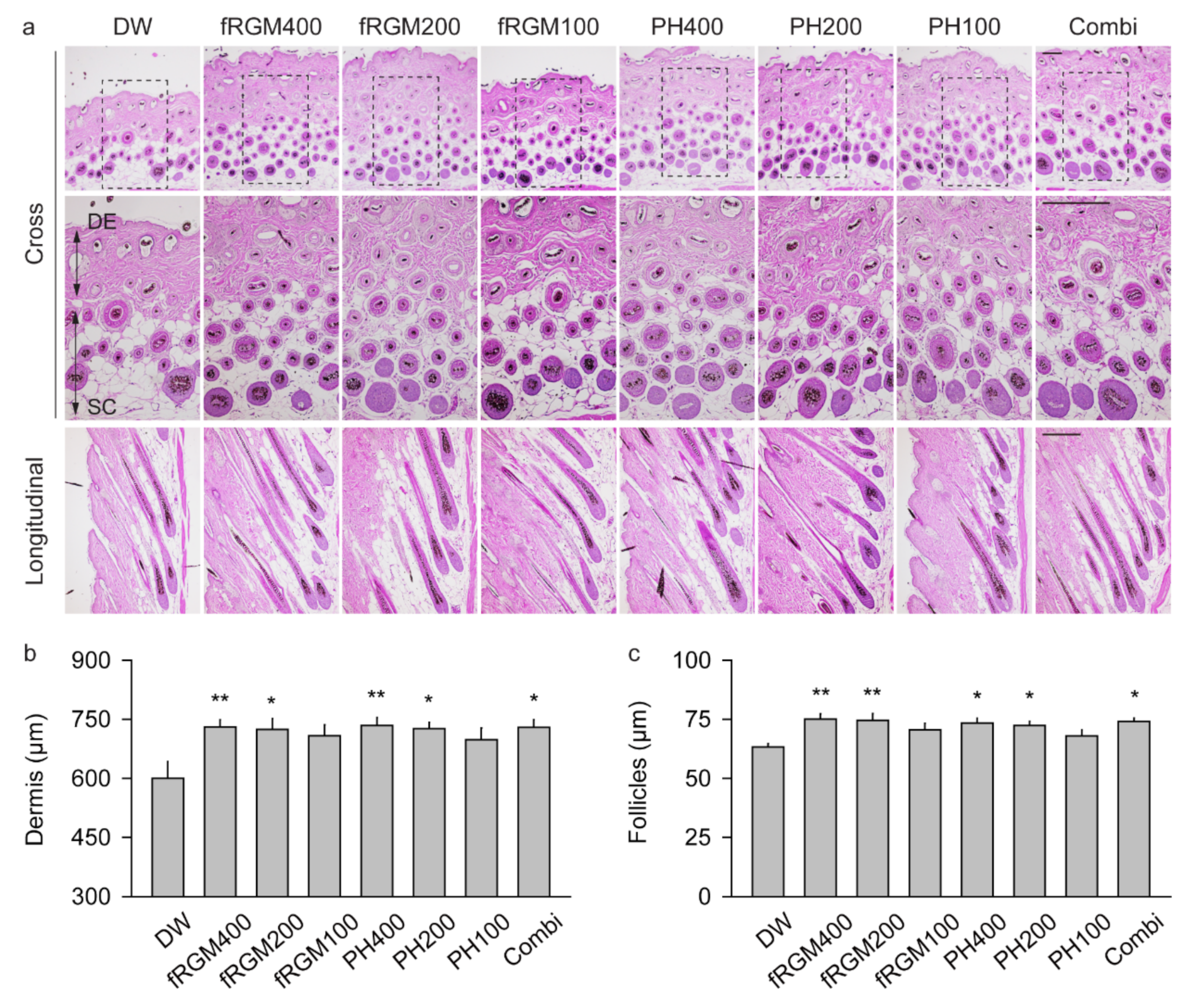 Applsci 11 01195 g005 Applsci 11 01195 g005