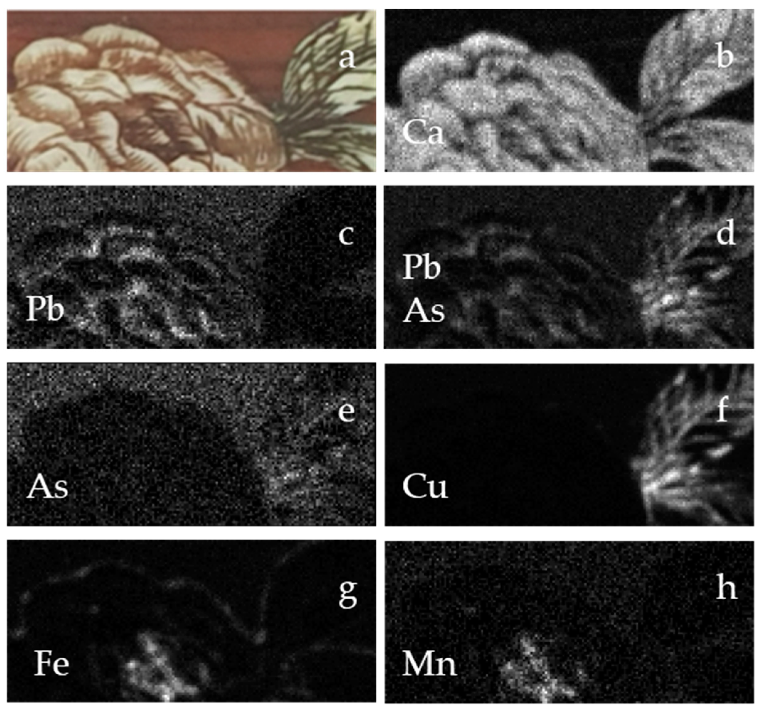 Applsci 11 01197 g005 Applsci 11 01197 g005