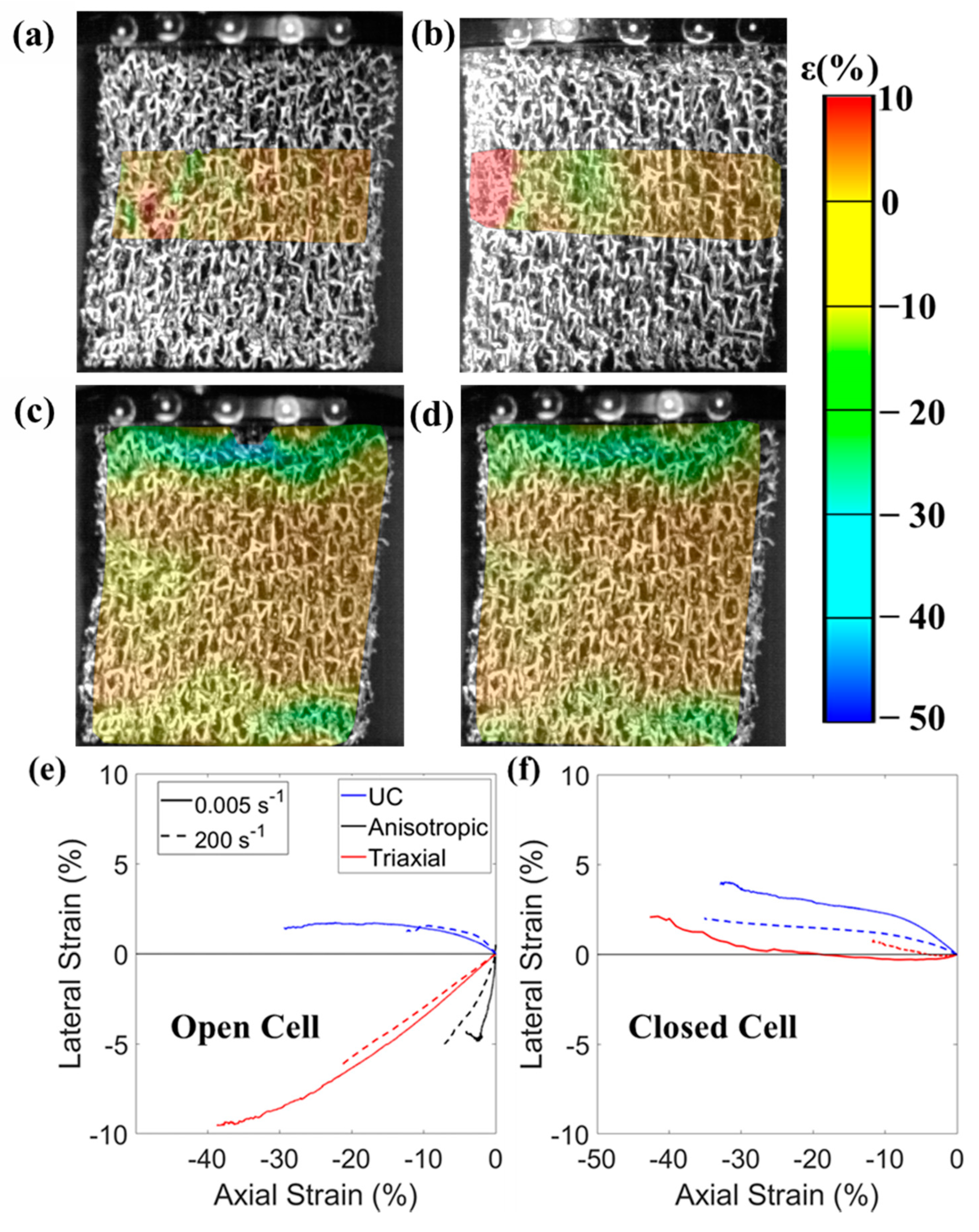 Applsci 11 01207 g004 Applsci 11 01207 g004