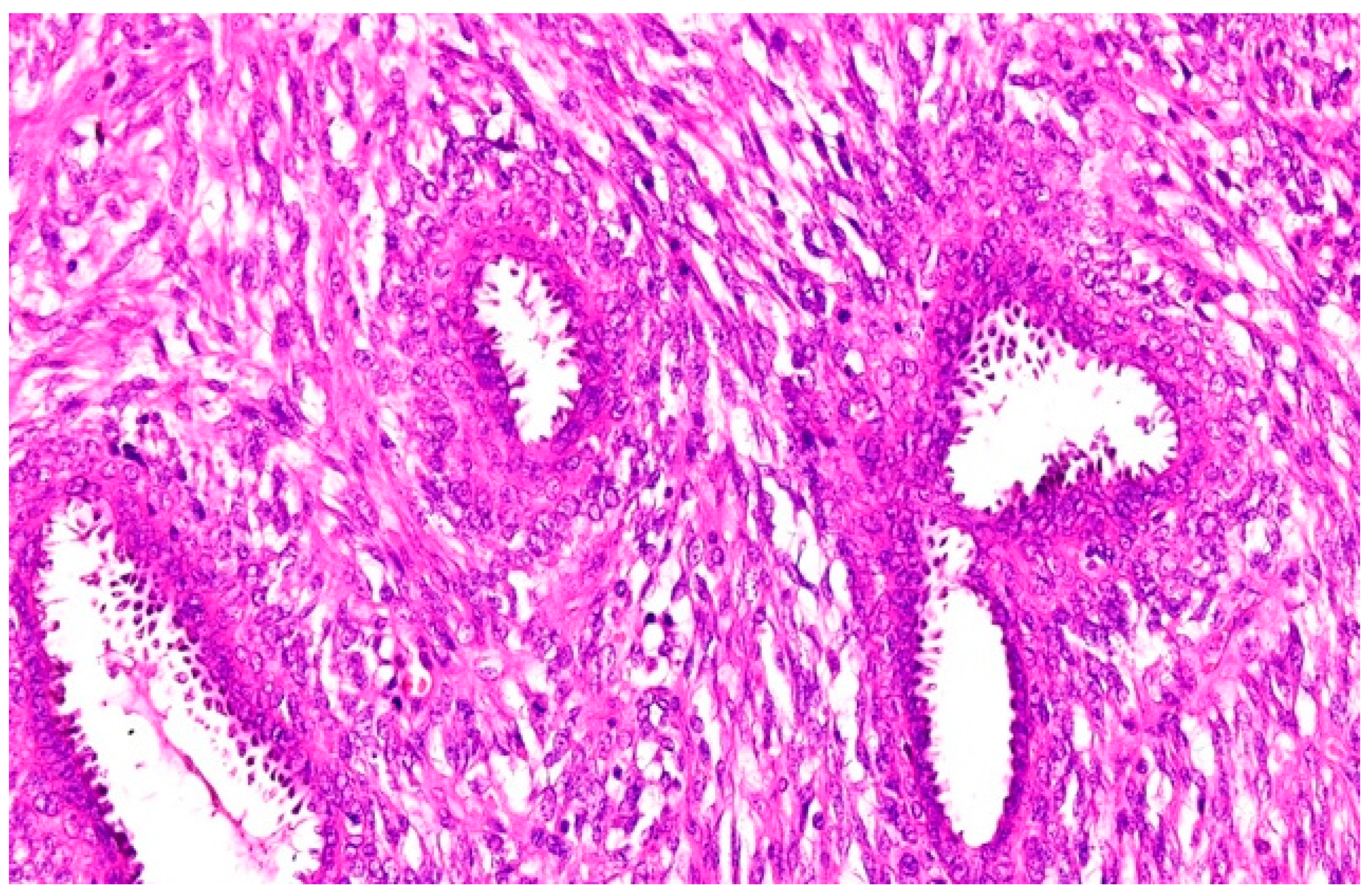 Applsci 11 01224 g006 Applsci 11 01224 g006