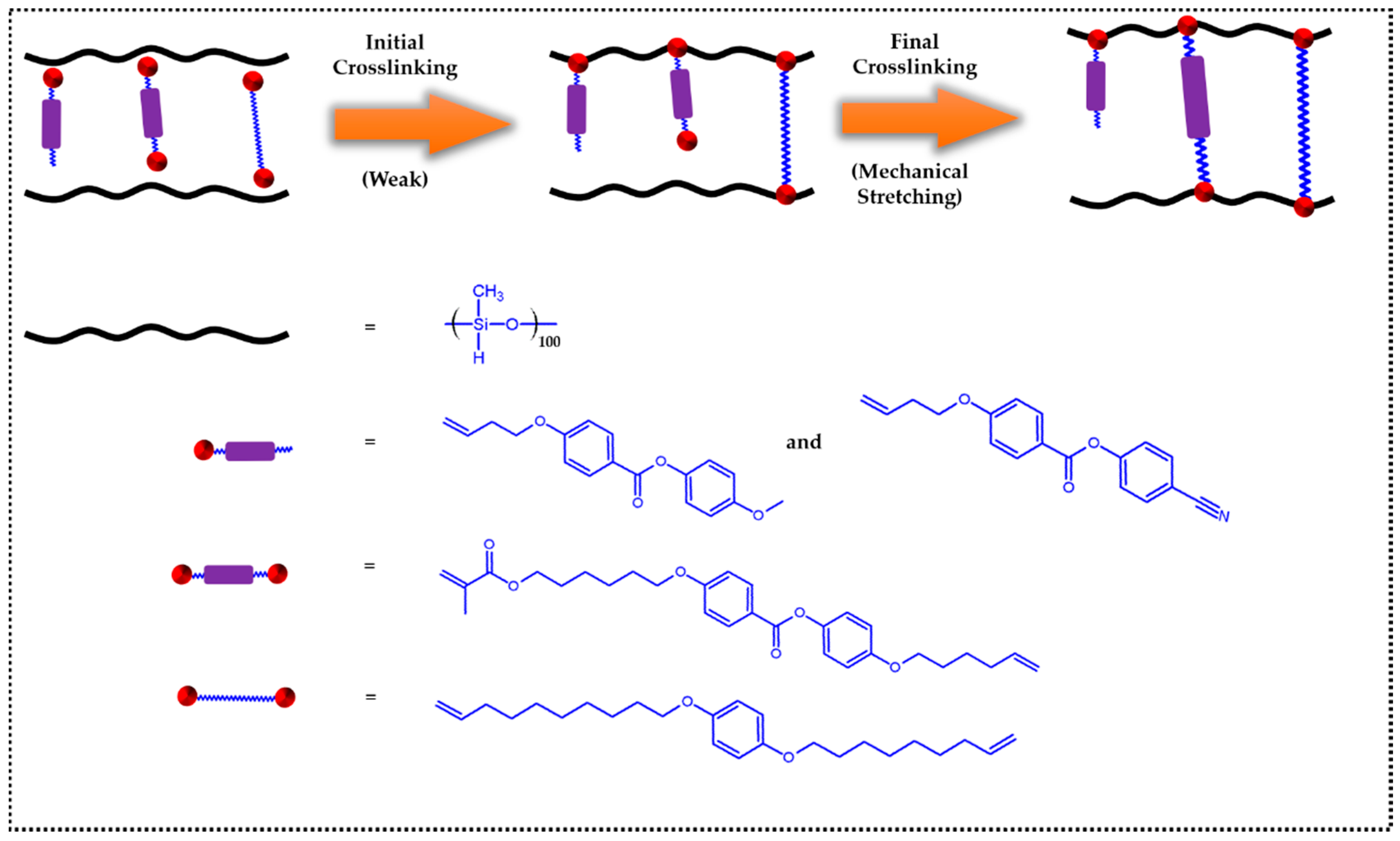 Applsci 11 01233 g001 Applsci 11 01233 g001