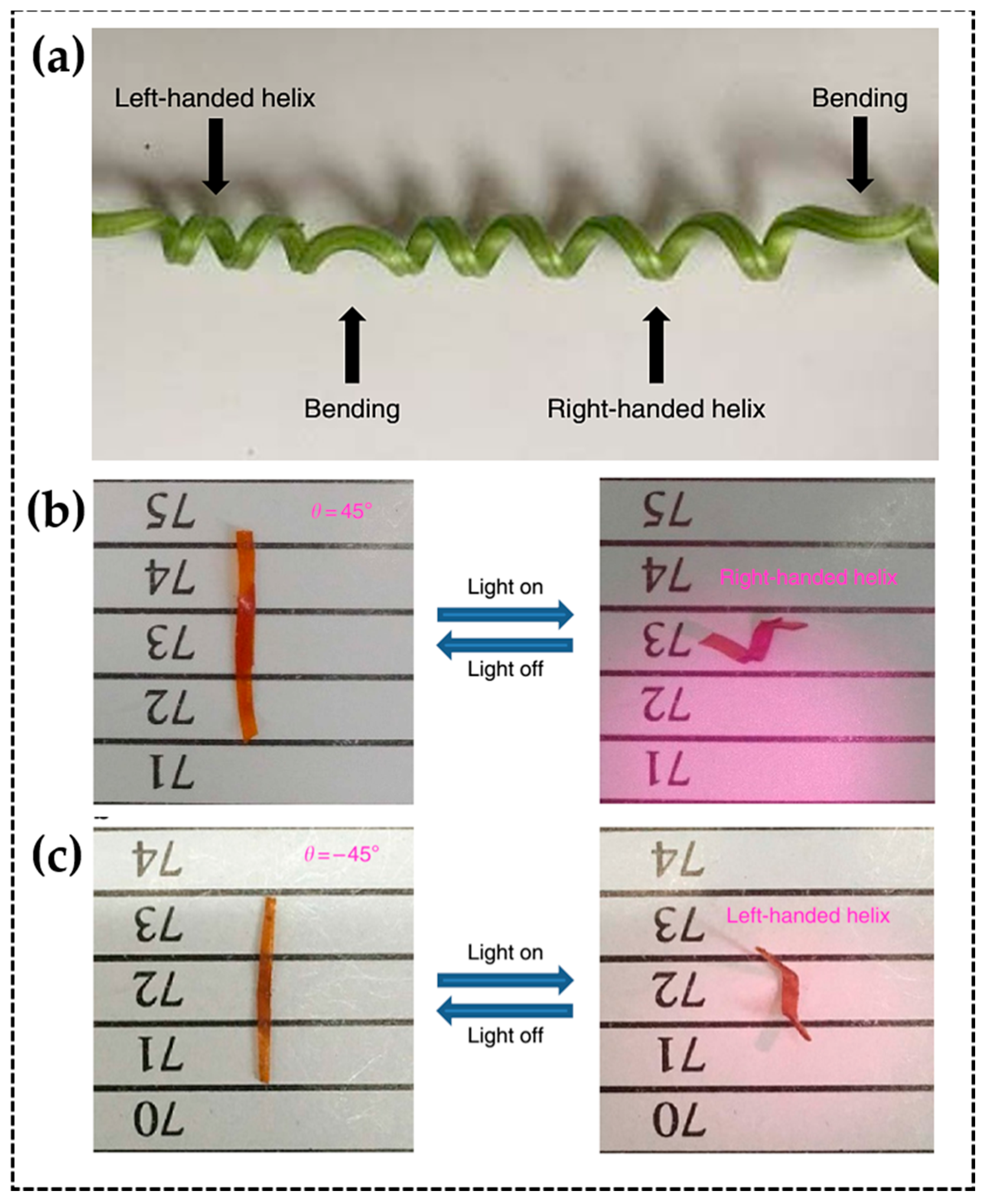 Applsci 11 01233 g011 Applsci 11 01233 g011