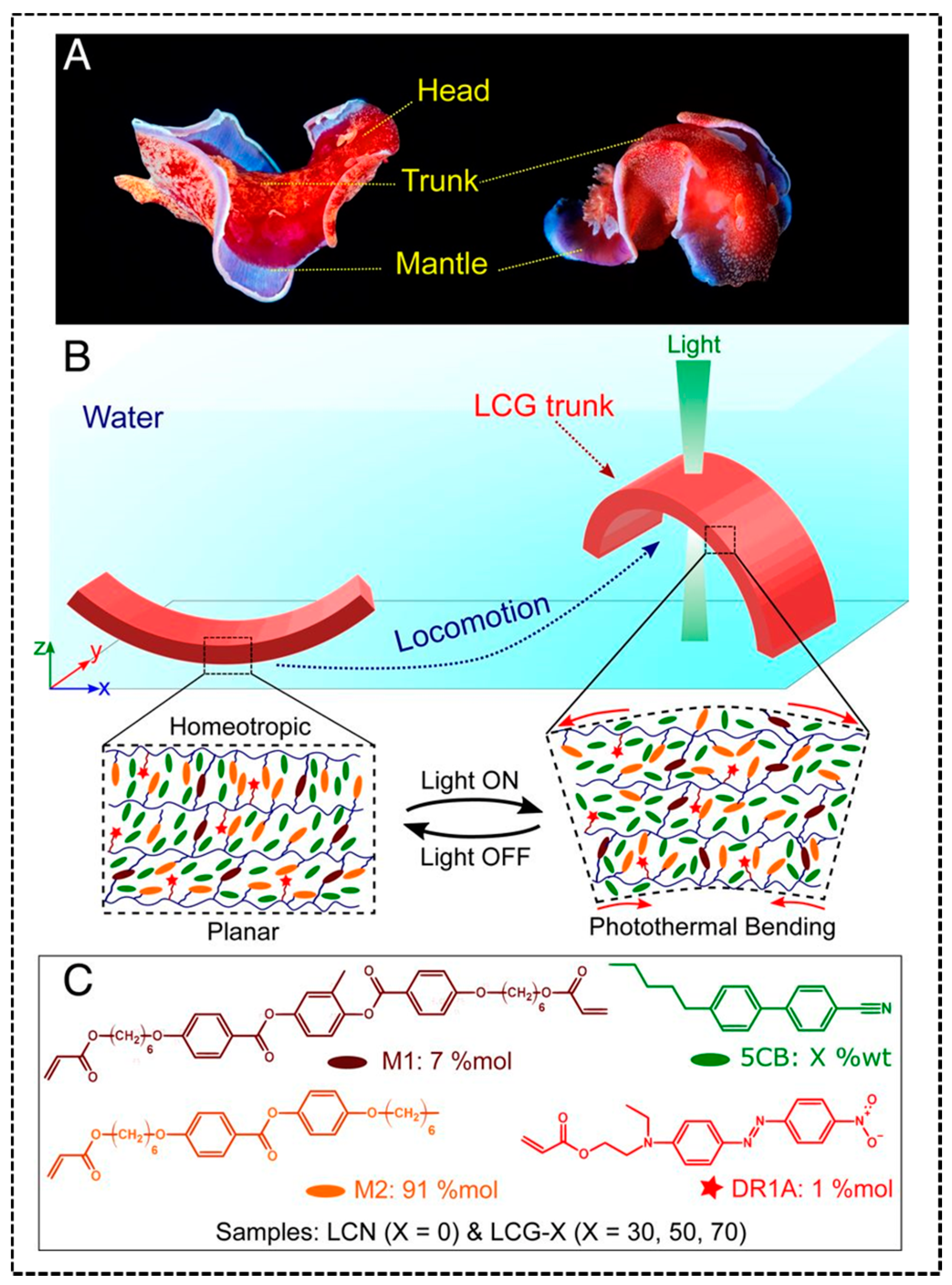 Applsci 11 01233 g012 Applsci 11 01233 g012