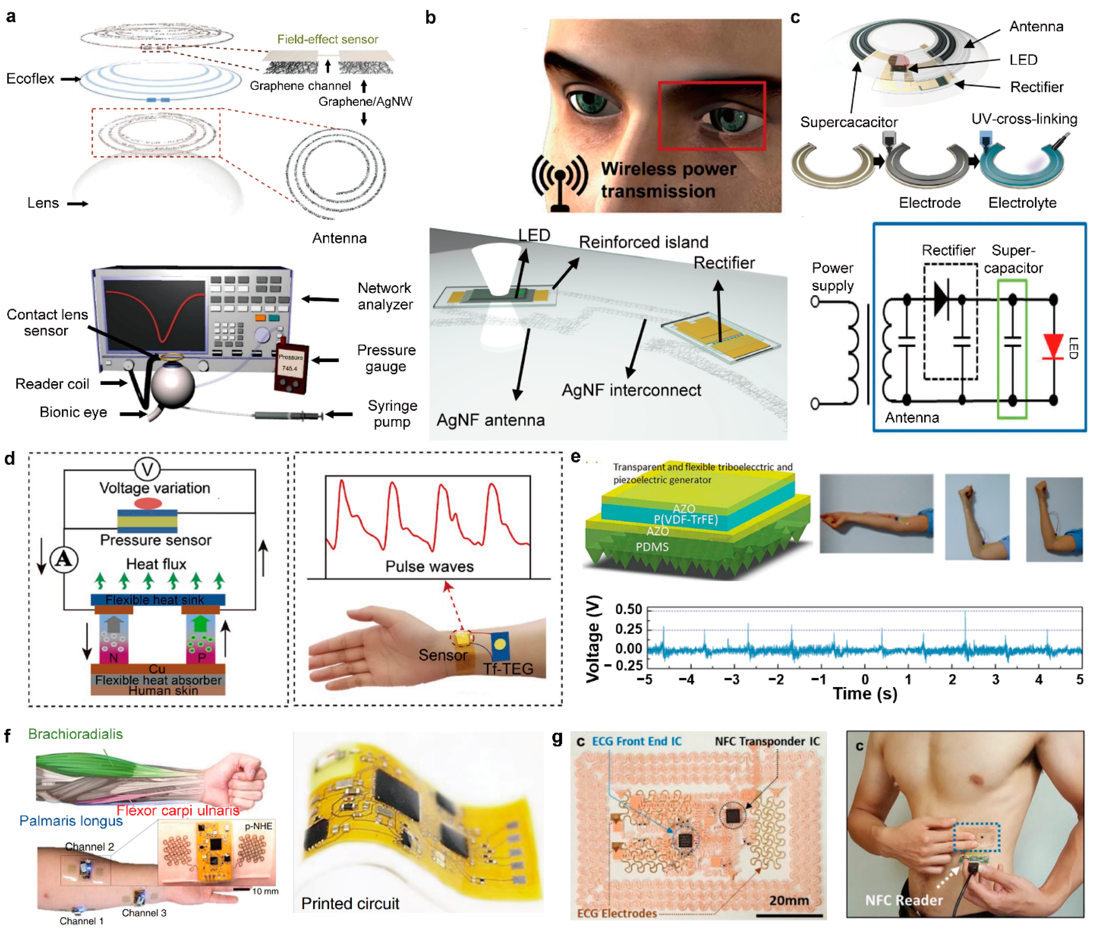 Applsci 11 01235 g006 Applsci 11 01235 g006