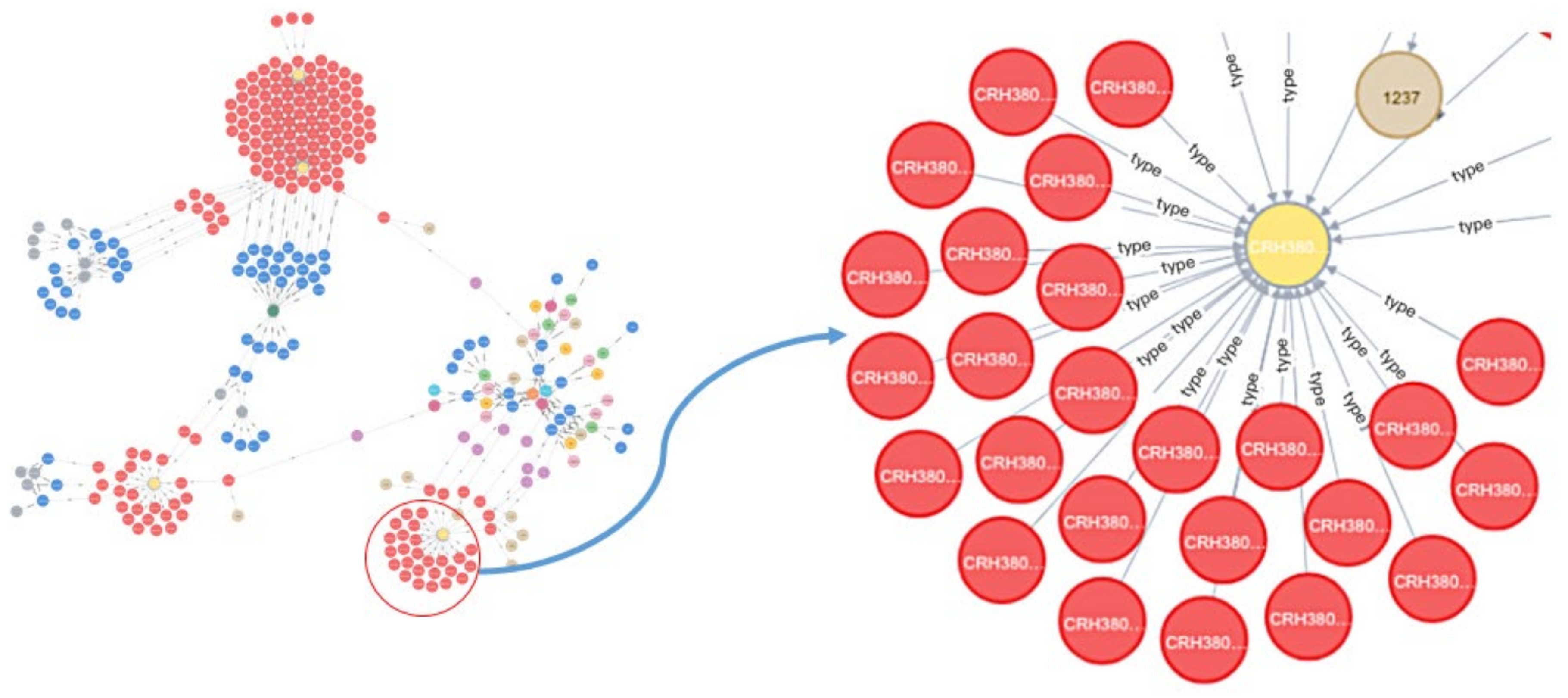 Applsci 11 01251 g006 Applsci 11 01251 g006