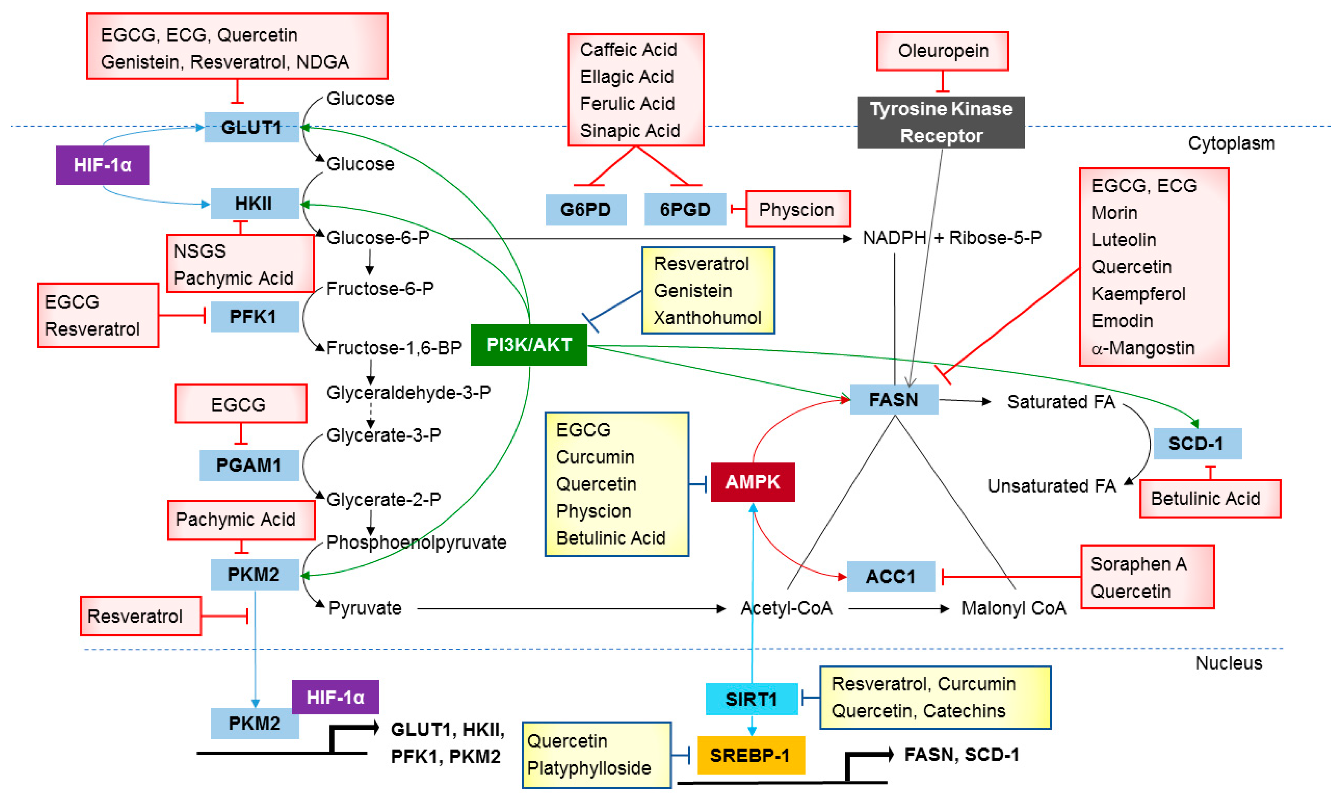 Applsci 11 01259 g001 Applsci 11 01259 g001