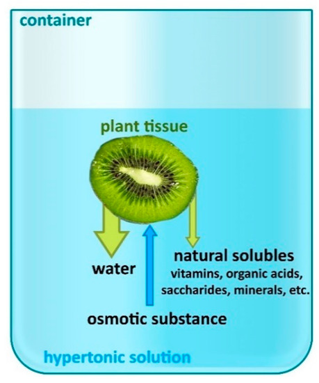 Applied Sciences Free Full Text Current Applications Of Ultrasound In Fruit And Vegetables Osmotic Dehydration Processes Html