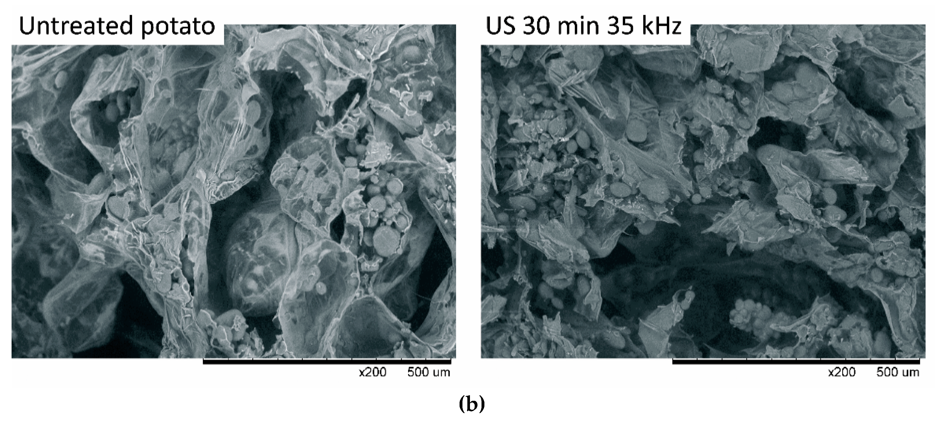 Applsci 11 01269 g002b