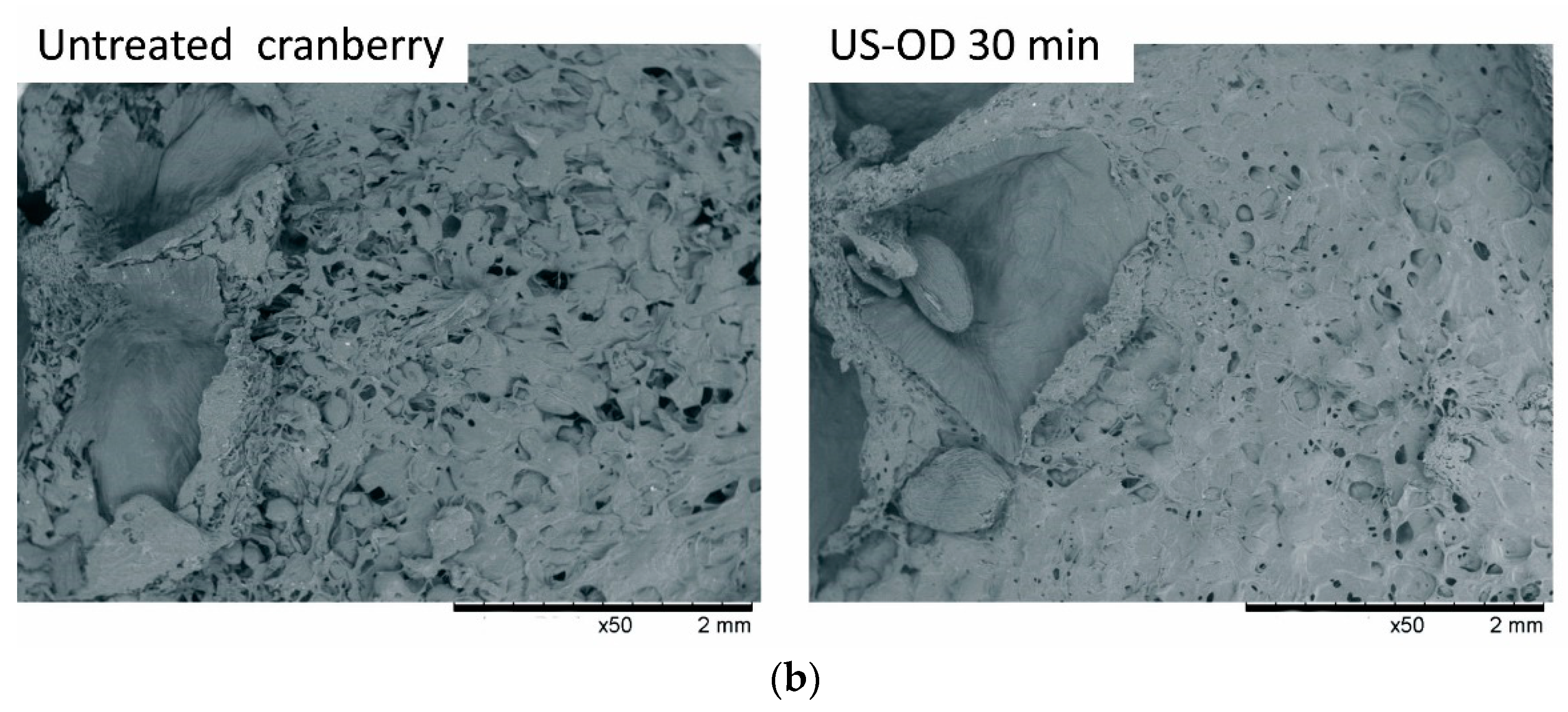 Applsci 11 01269 g003b