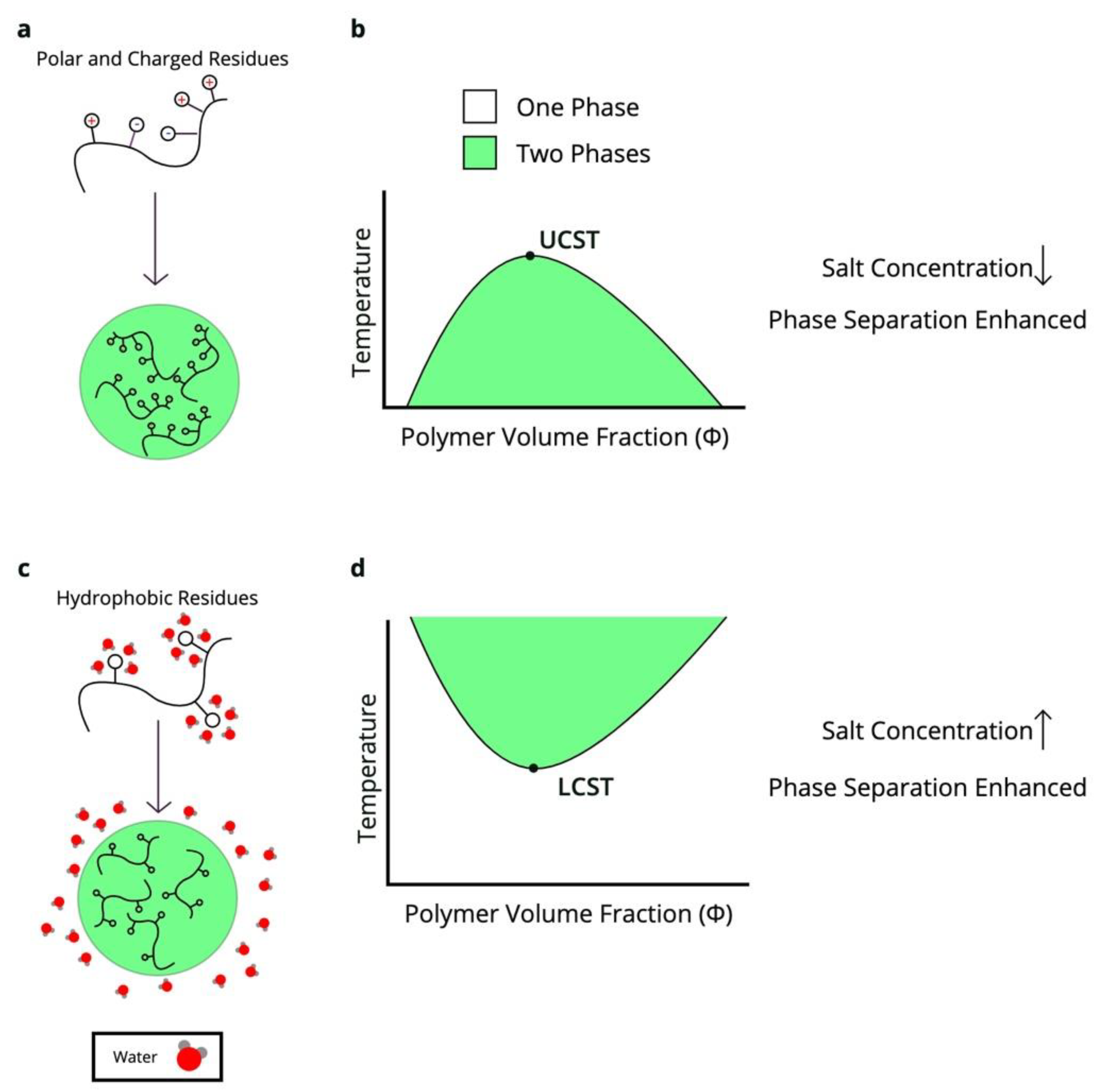 Applsci 11 01288 g001