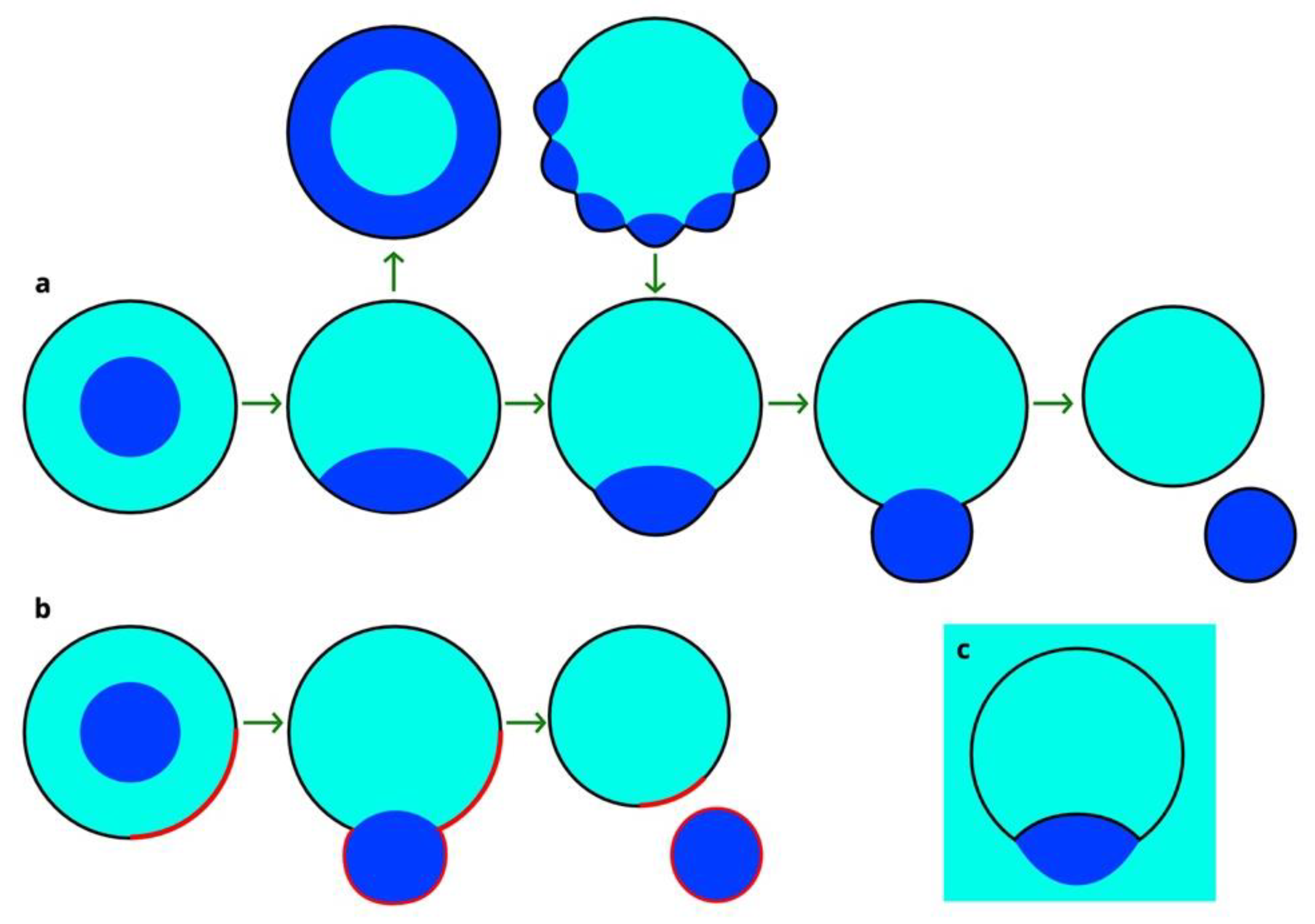 Applsci 11 01288 g002