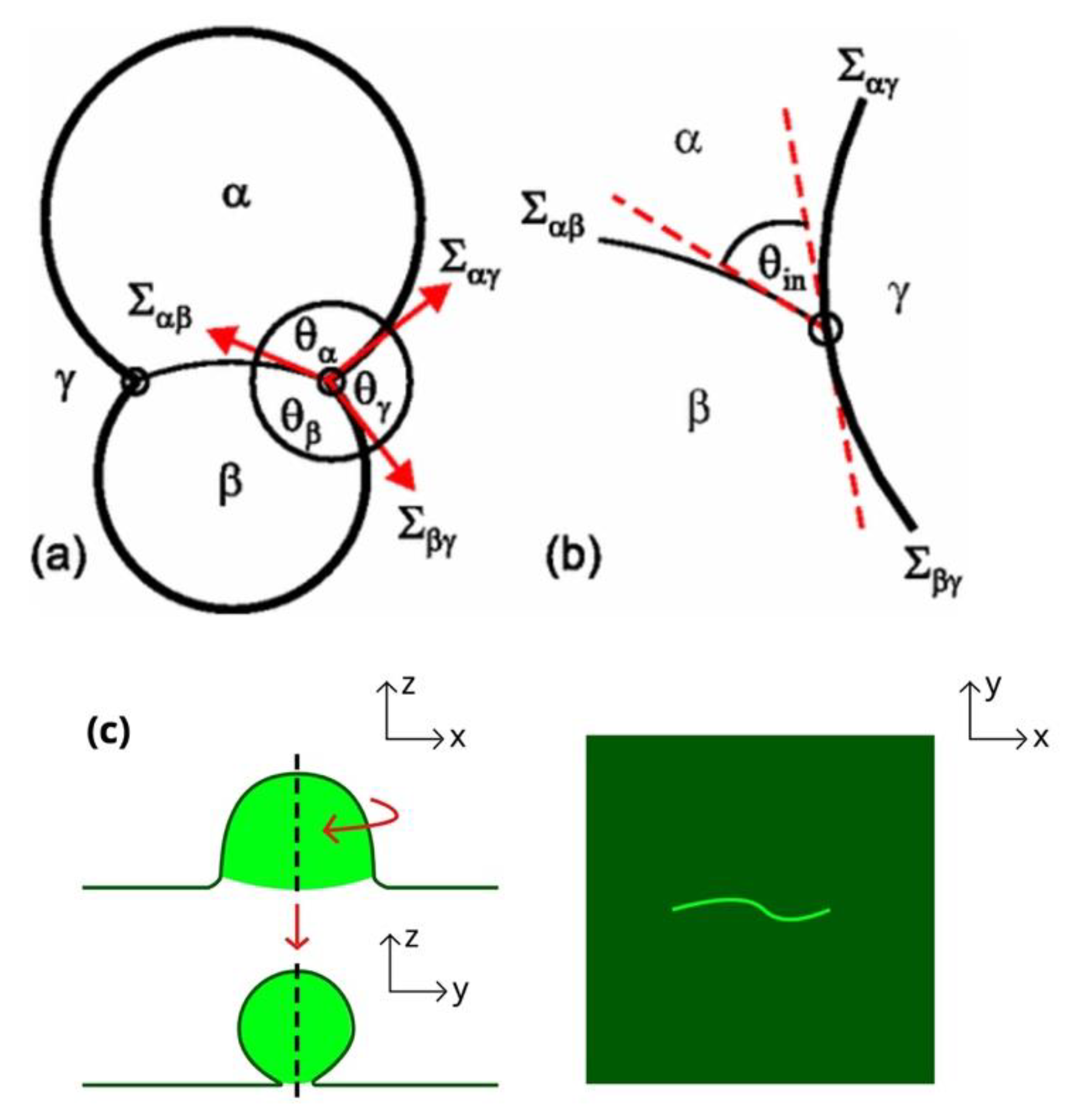 Applsci 11 01288 g003