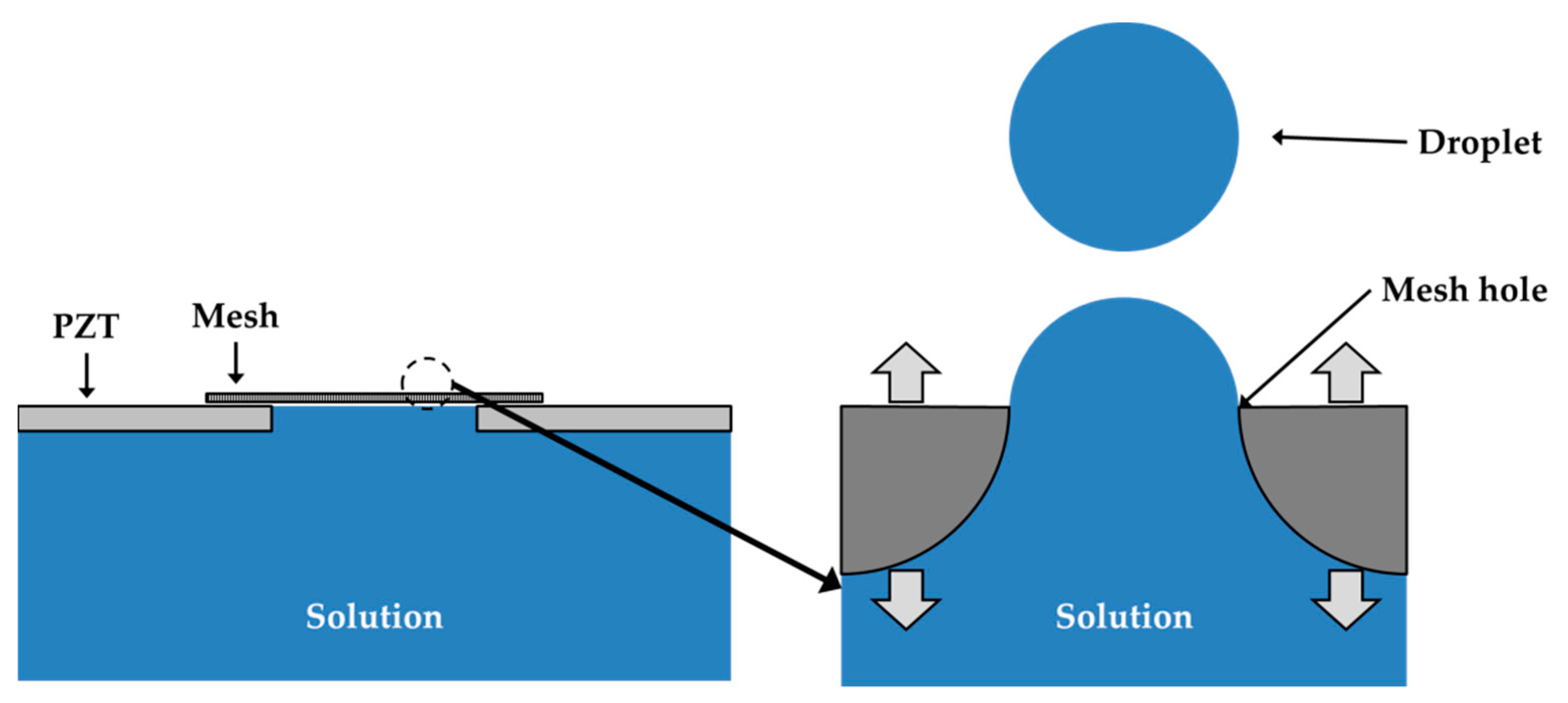 Applsci 11 01296 g001 Applsci 11 01296 g001