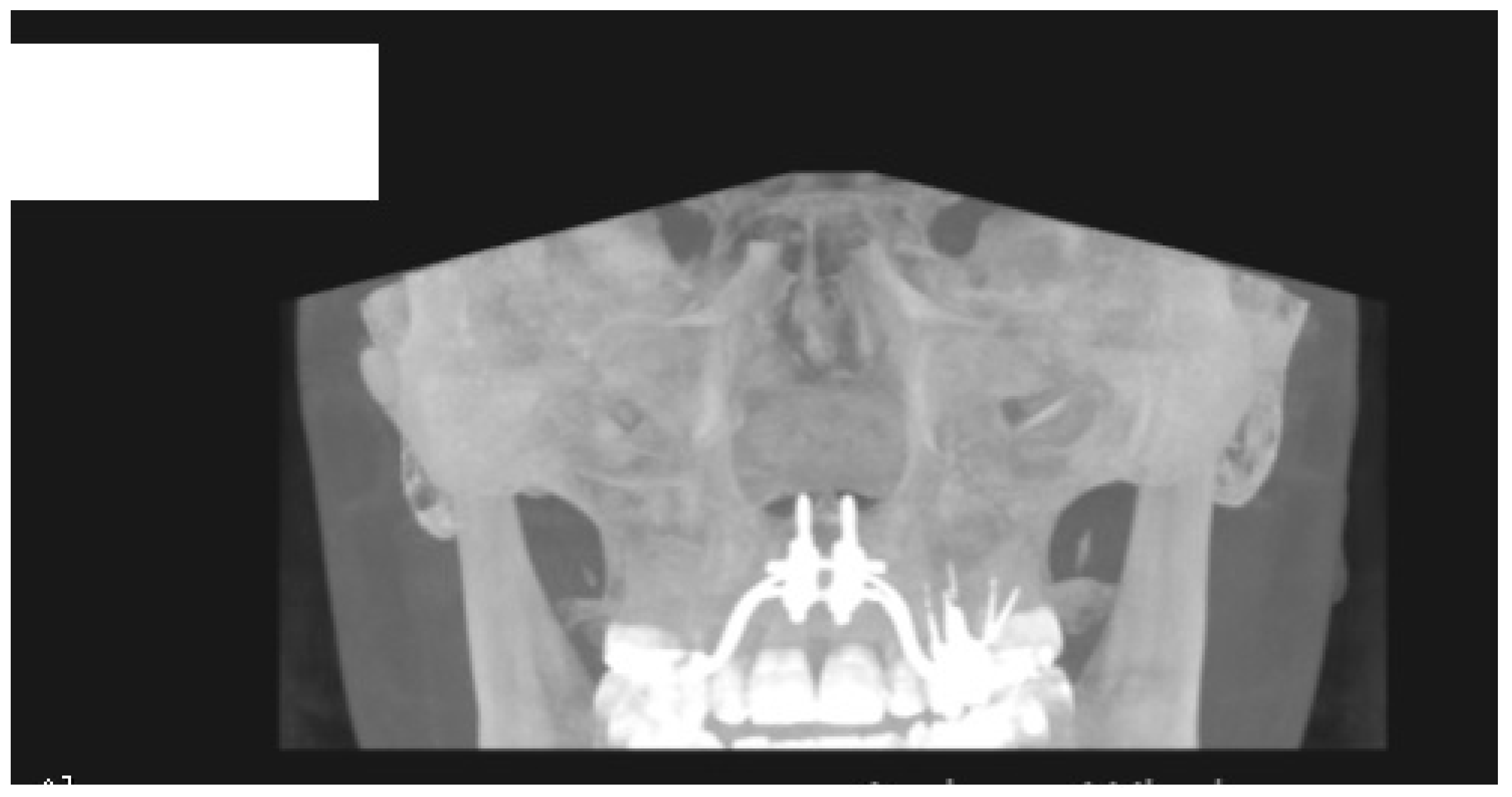 Applsci 11 01306 g004 Applsci 11 01306 g004