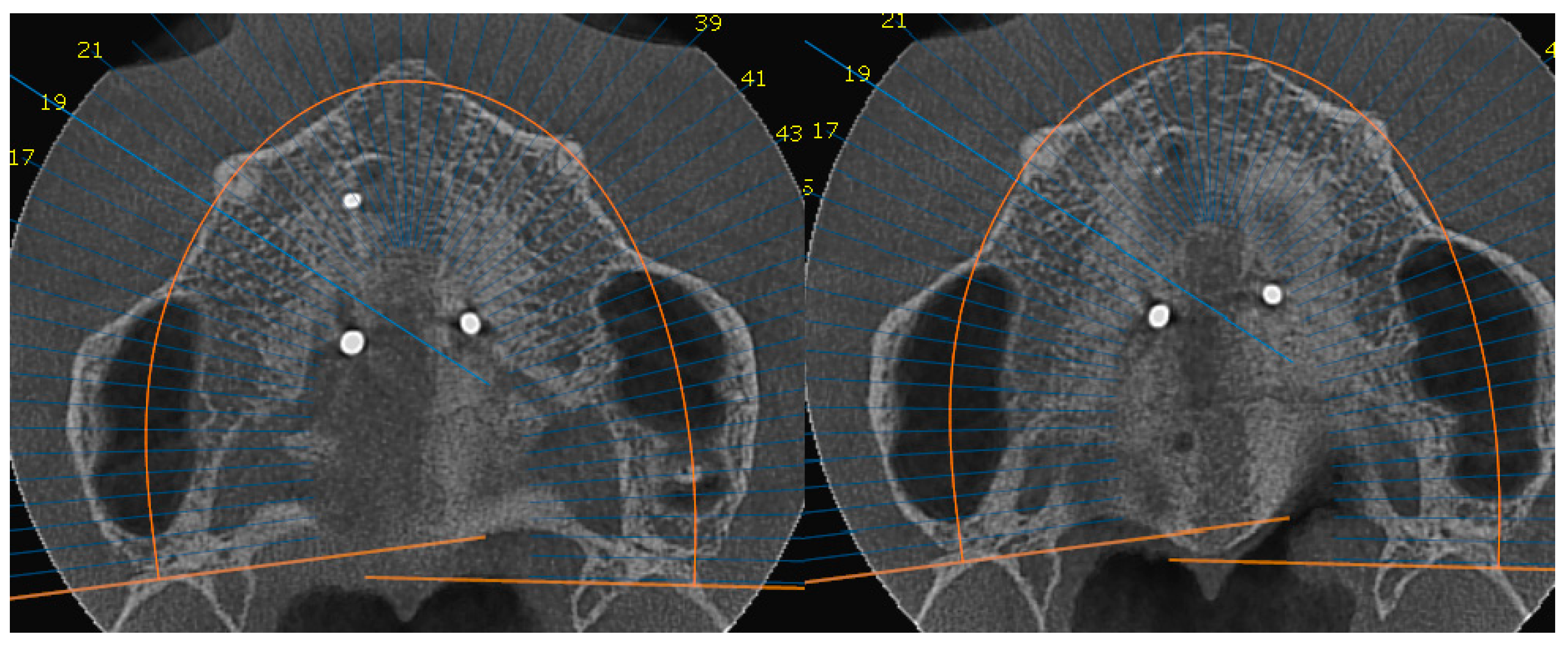 Applsci 11 01306 g009 Applsci 11 01306 g009