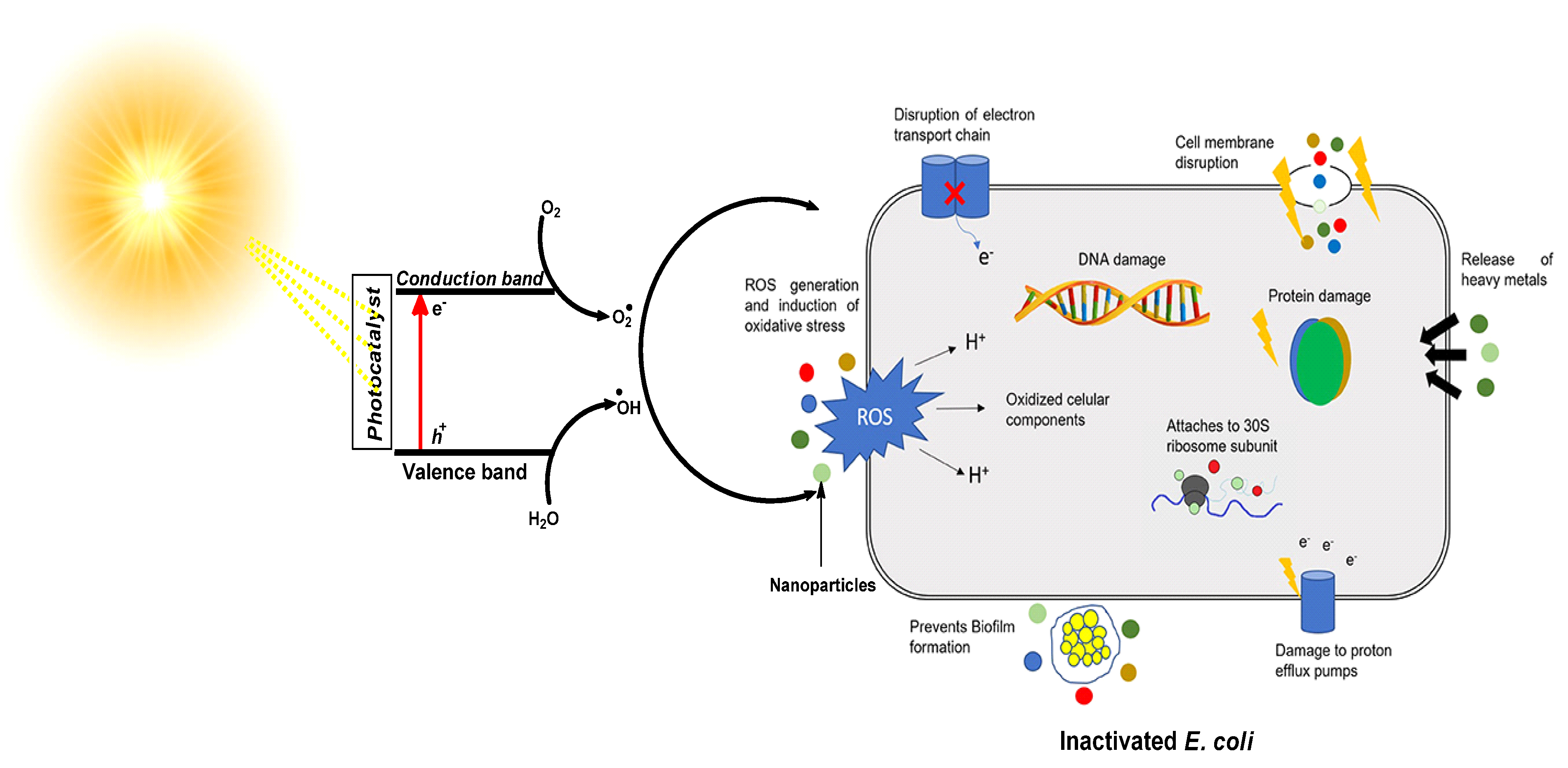 Applsci 11 01313 g002