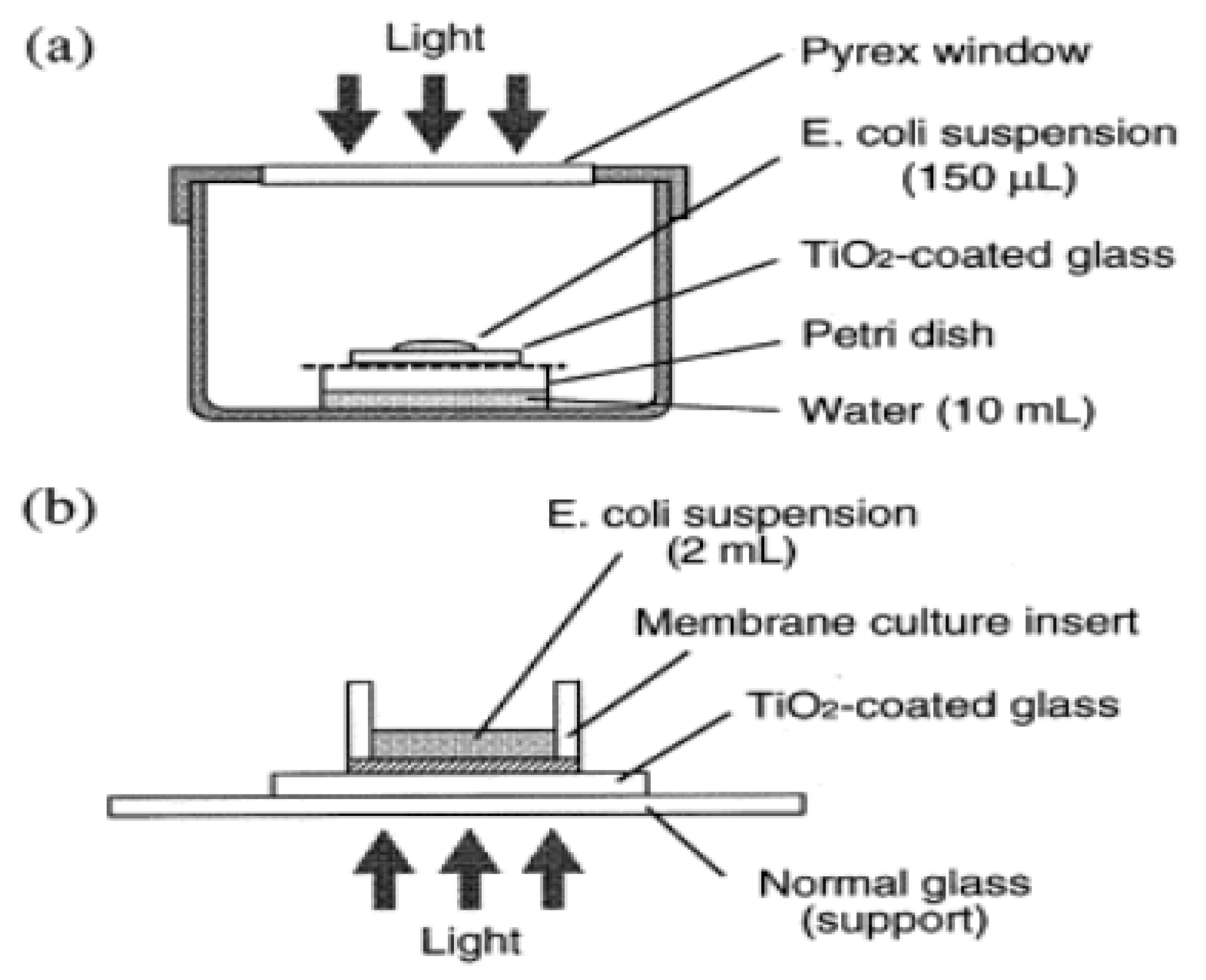 Applsci 11 01313 g005
