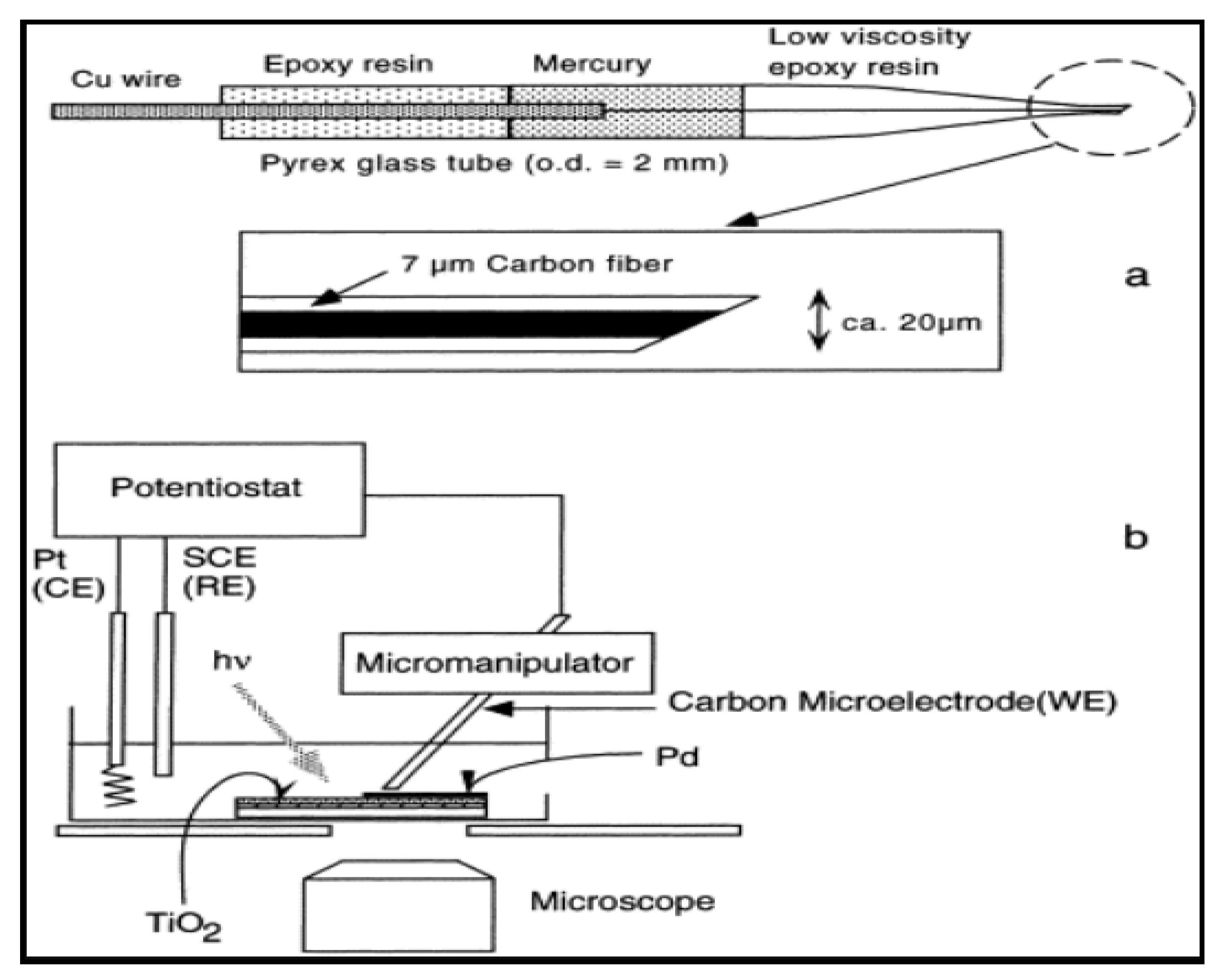 Applsci 11 01313 g006