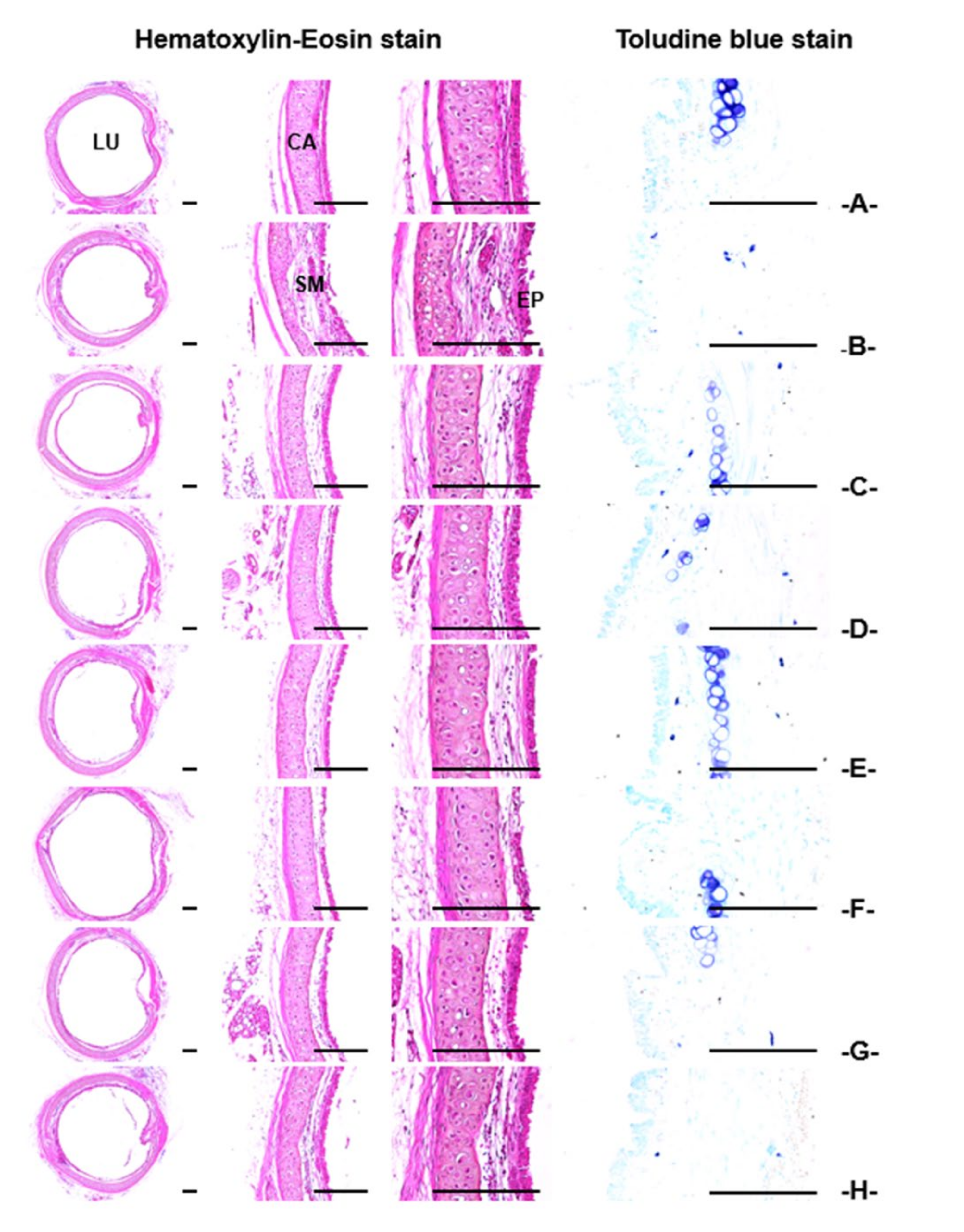 Applsci 11 01349 g002