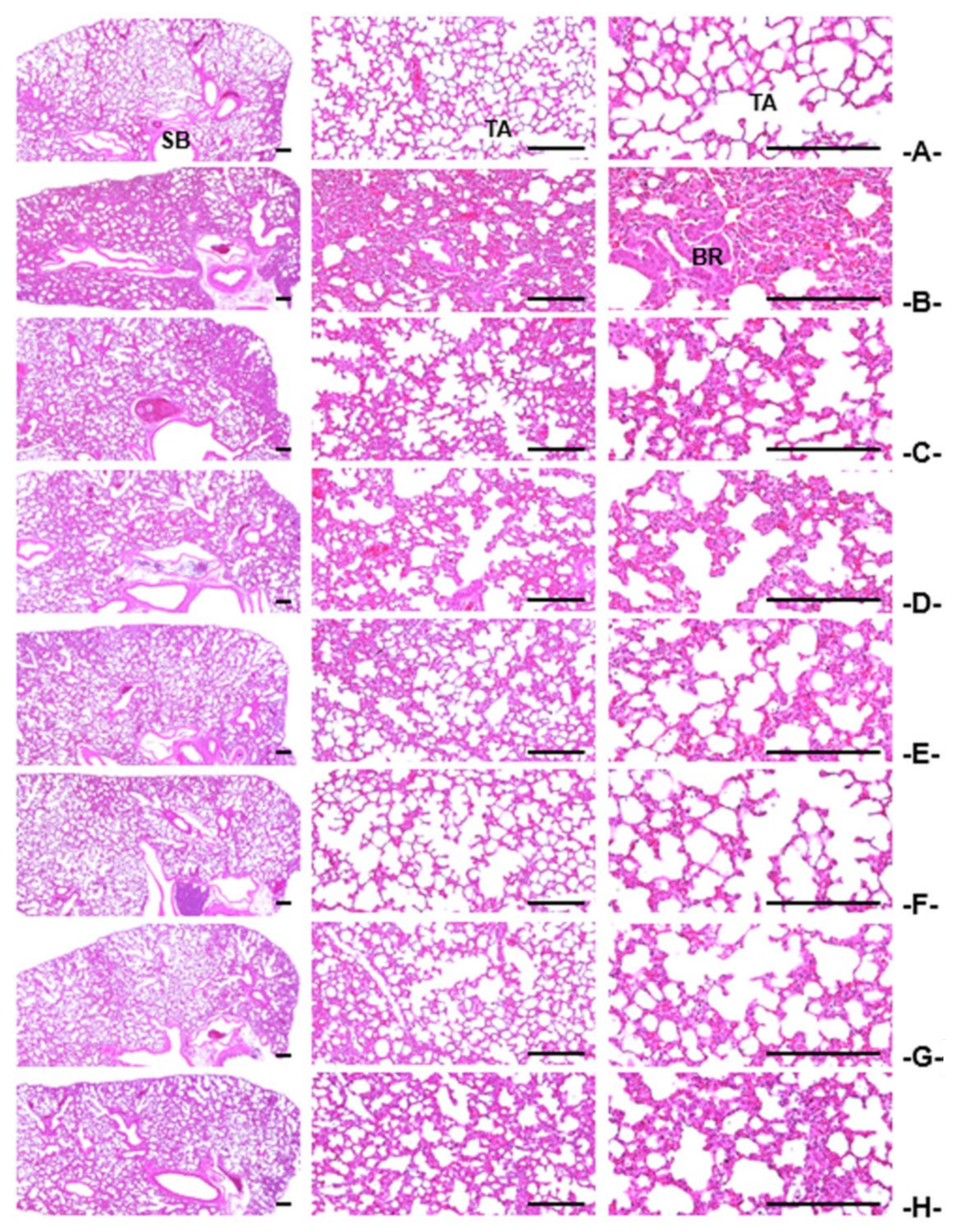 Applsci 11 01349 g003