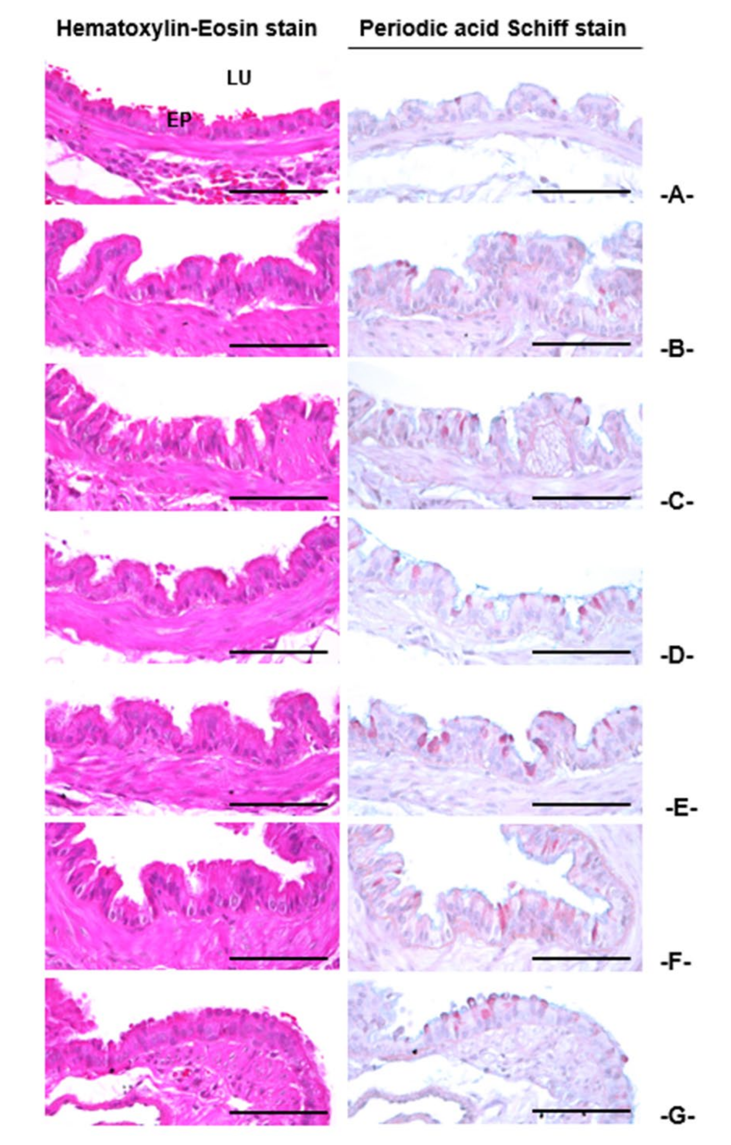 Applsci 11 01349 g005