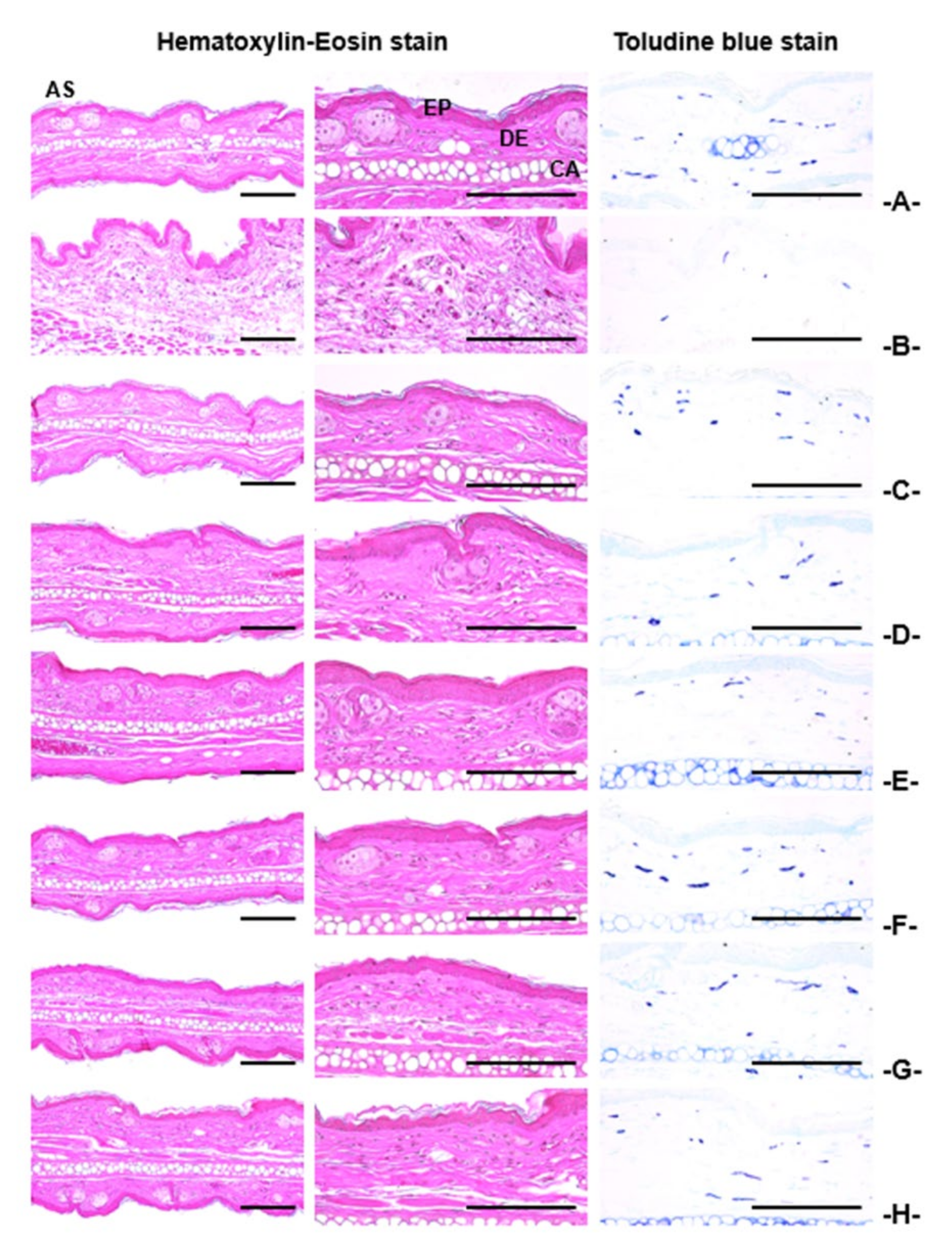Applsci 11 01349 g008