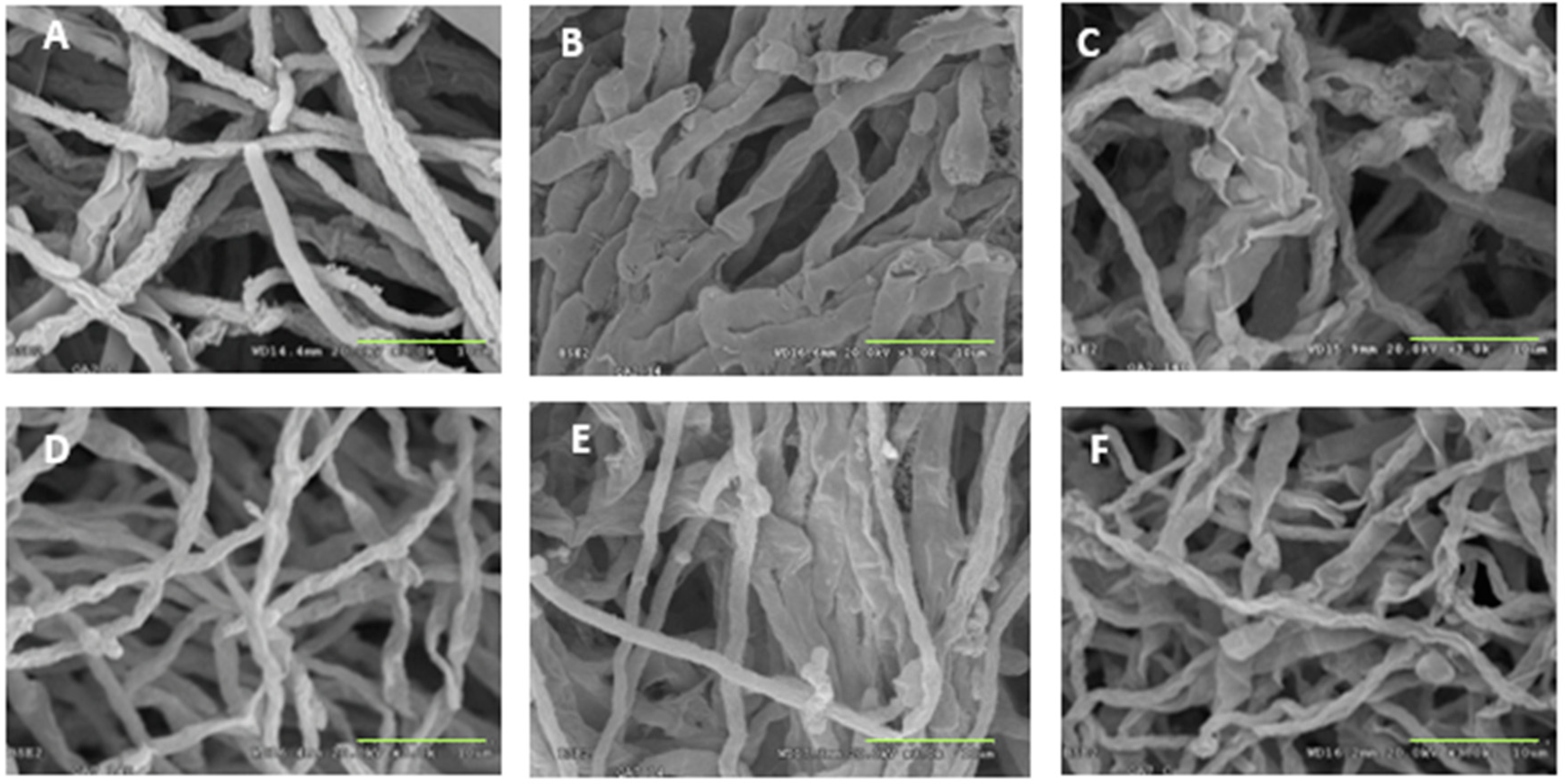 Applsci 11 01354 g002 Applsci 11 01354 g002