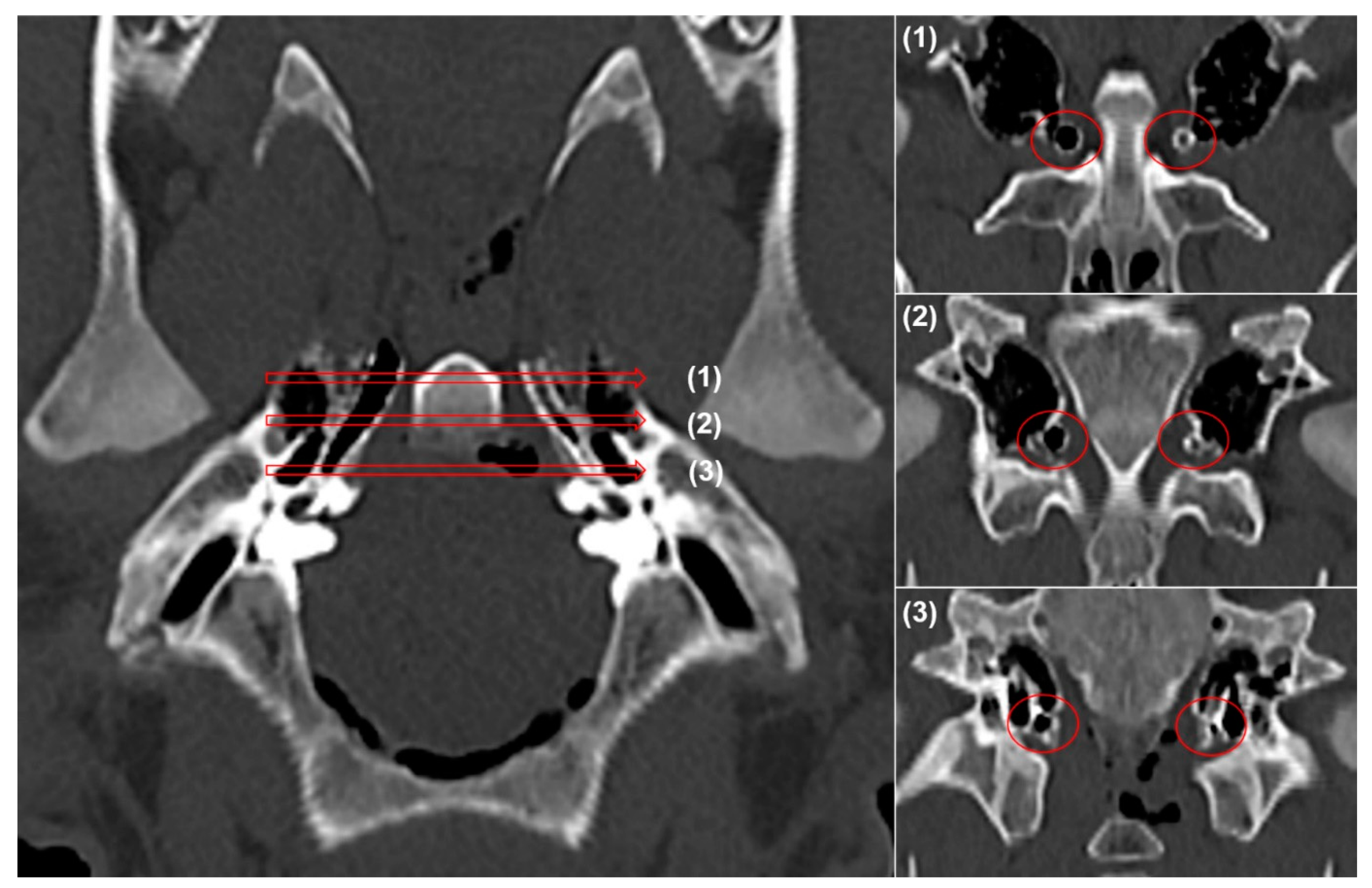 Applsci 11 01359 g003 Applsci 11 01359 g003