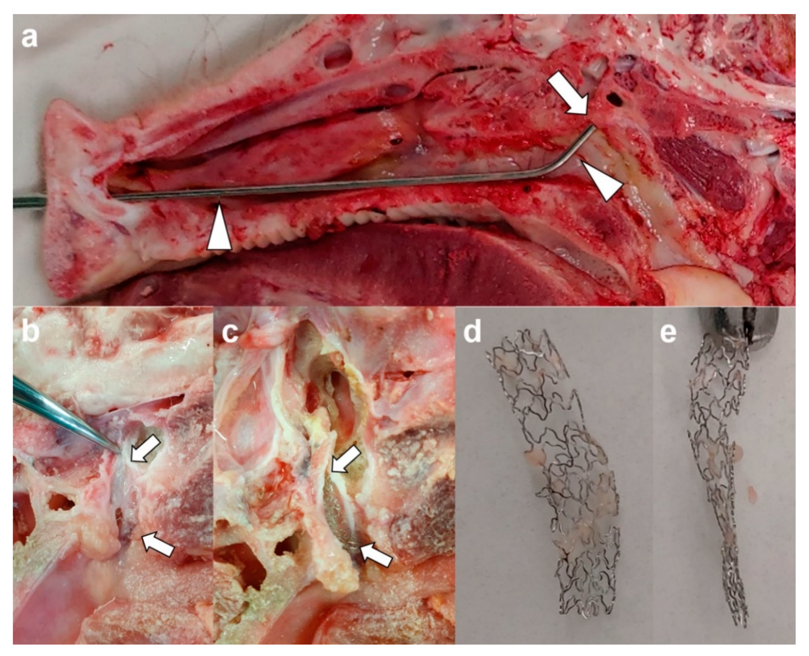 Applsci 11 01359 g004 Applsci 11 01359 g004