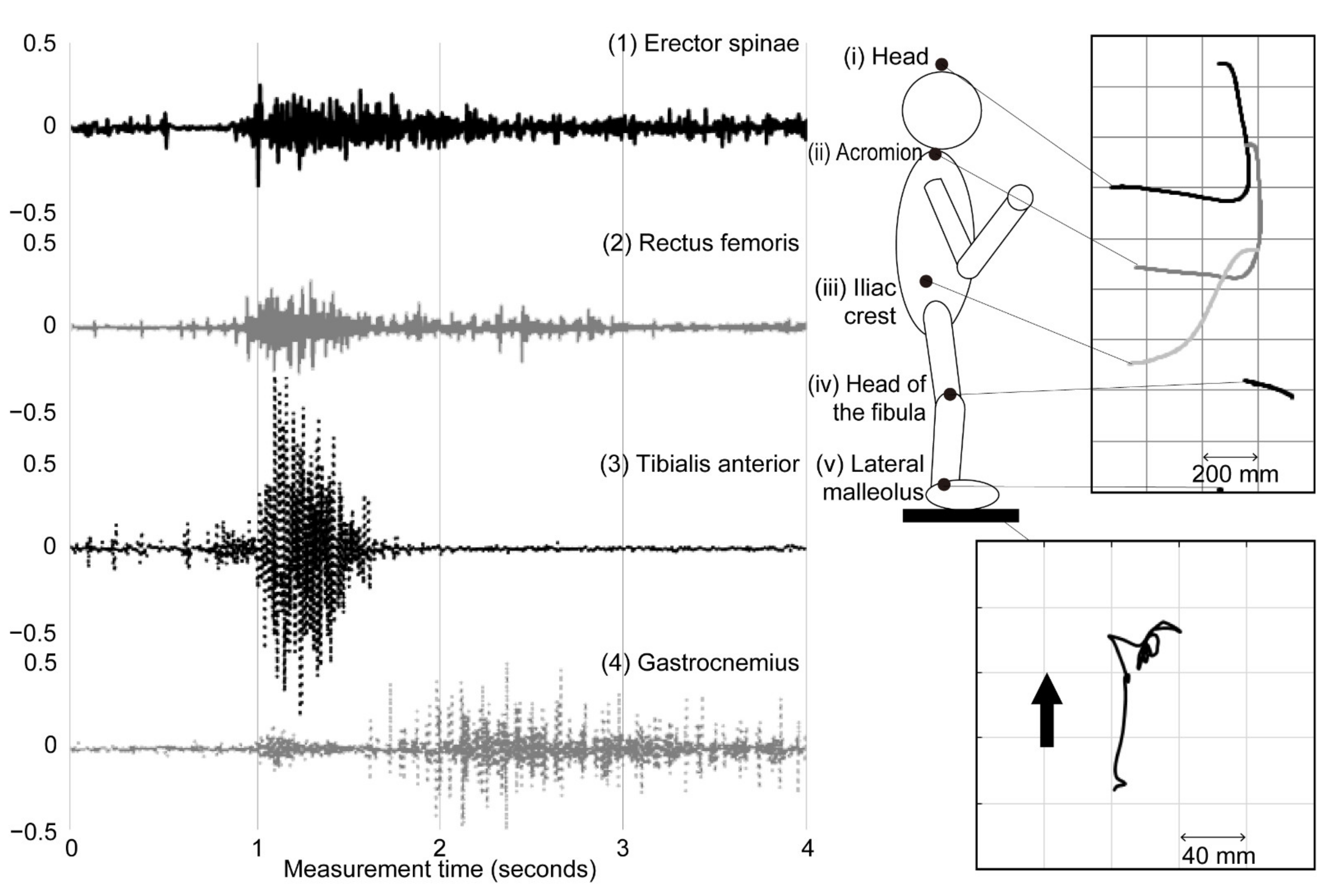 Applsci 11 01368 g003 Applsci 11 01368 g003
