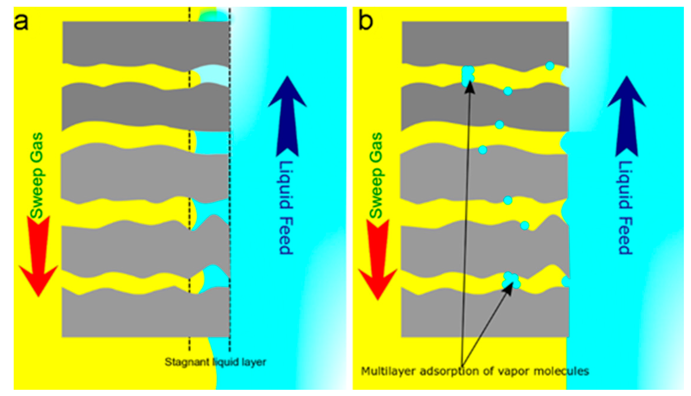 Applsci 11 01372 g003 Applsci 11 01372 g003
