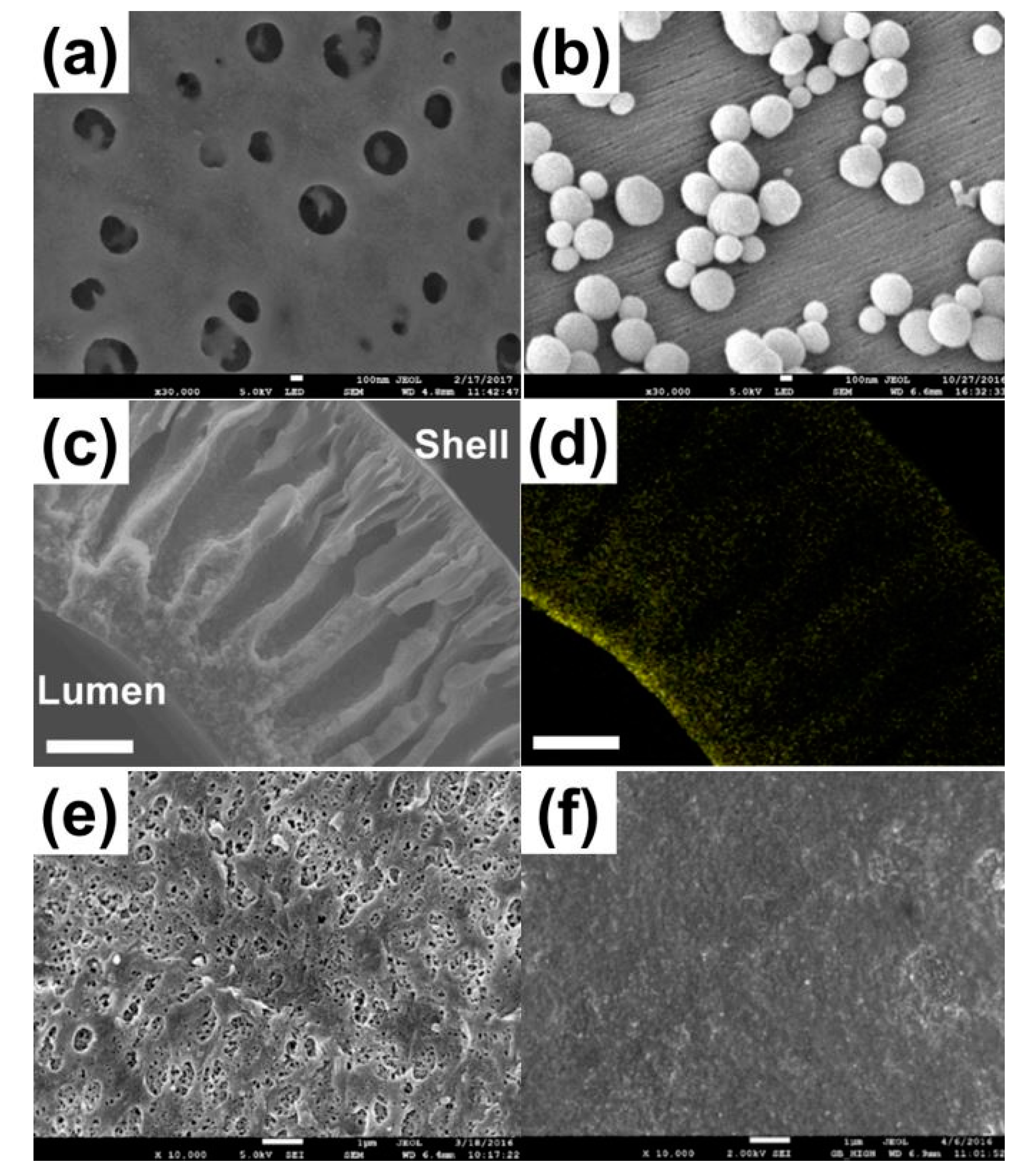 Applsci 11 01372 g004 Applsci 11 01372 g004