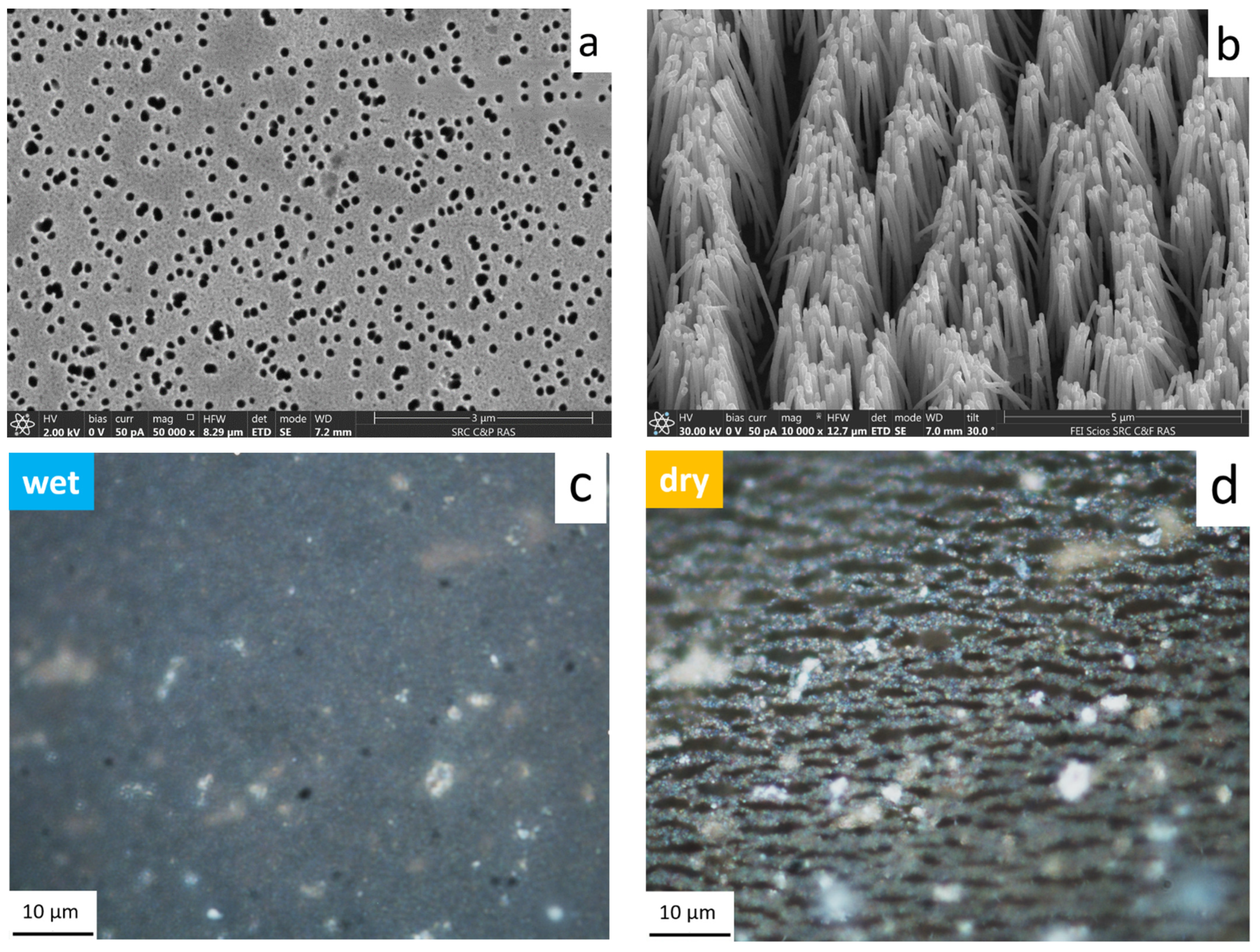 Applsci 11 01375 g003 Applsci 11 01375 g003