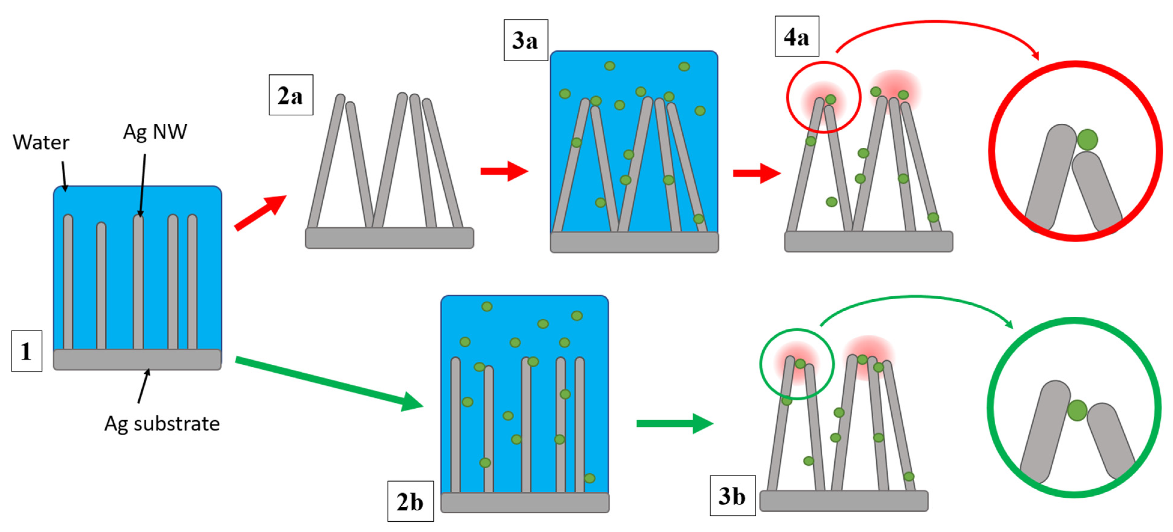 Applsci 11 01375 g004 Applsci 11 01375 g004