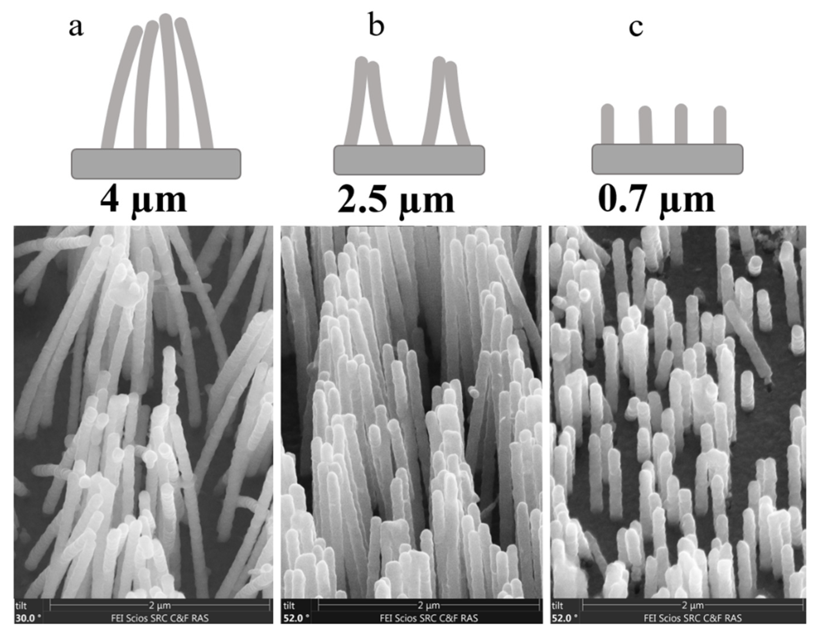 Applsci 11 01375 g007 Applsci 11 01375 g007
