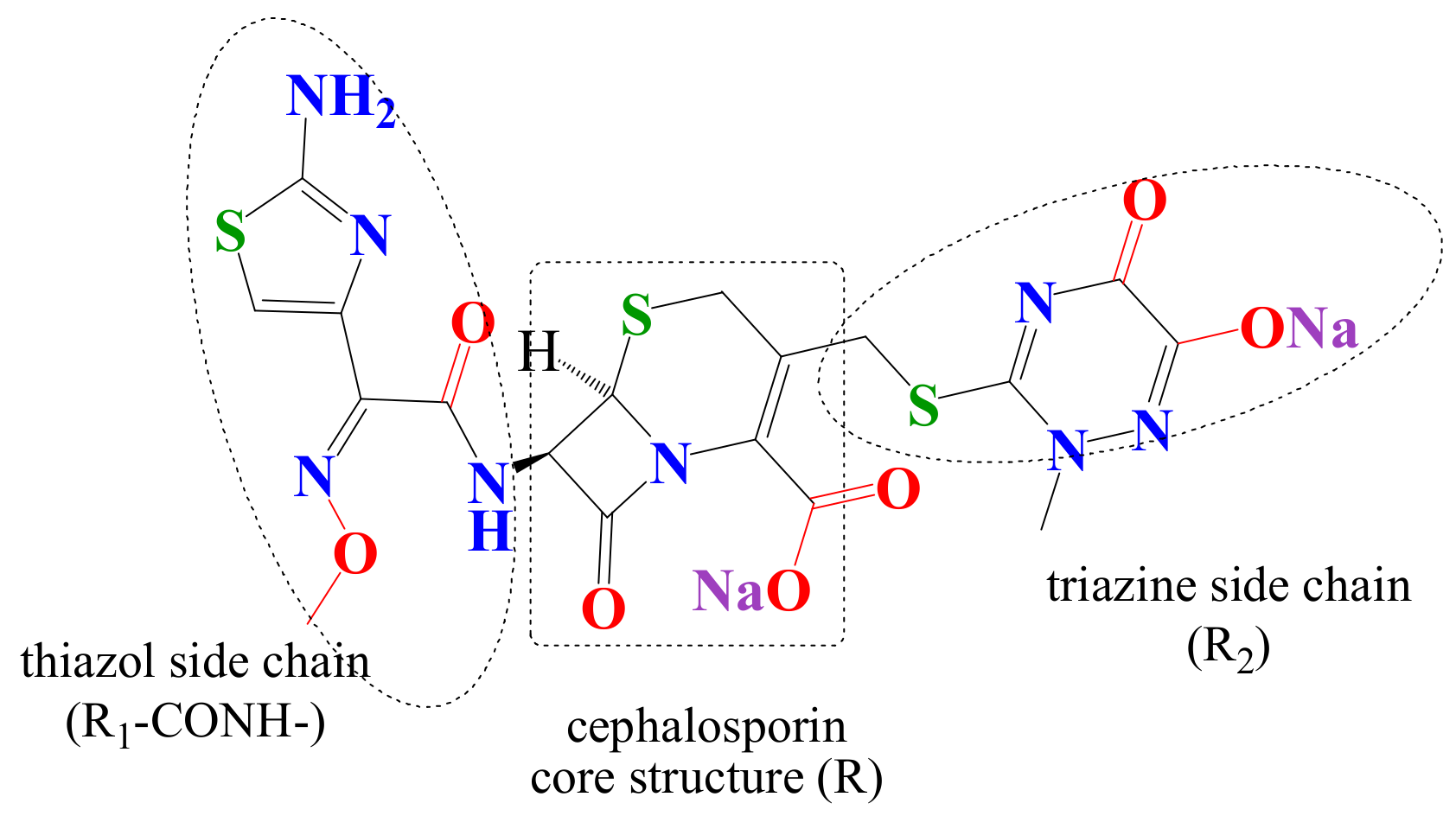 Applsci 11 01376 g007 Applsci 11 01376 g007