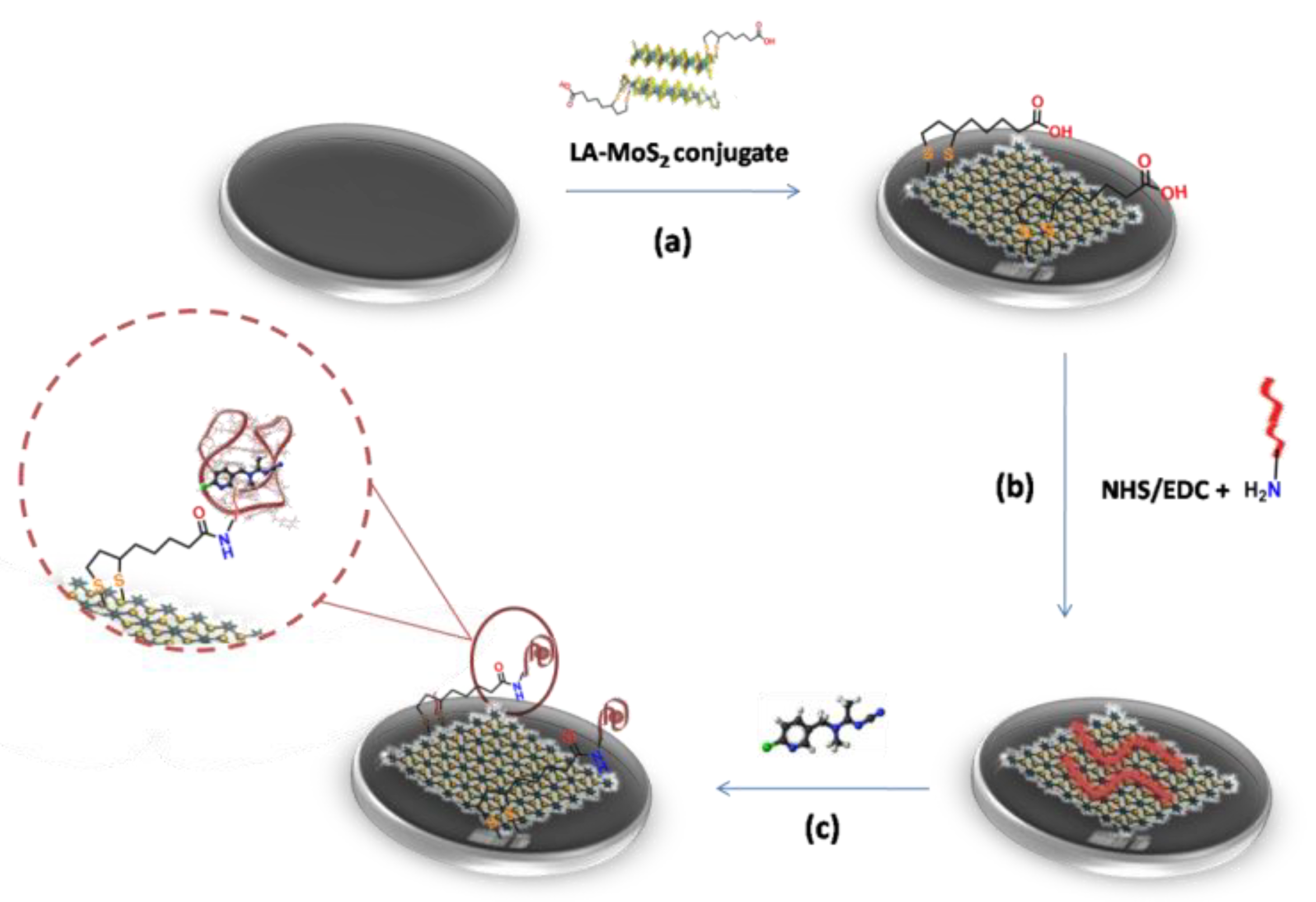 Applsci 11 01382 sch001 Applsci 11 01382 sch001
