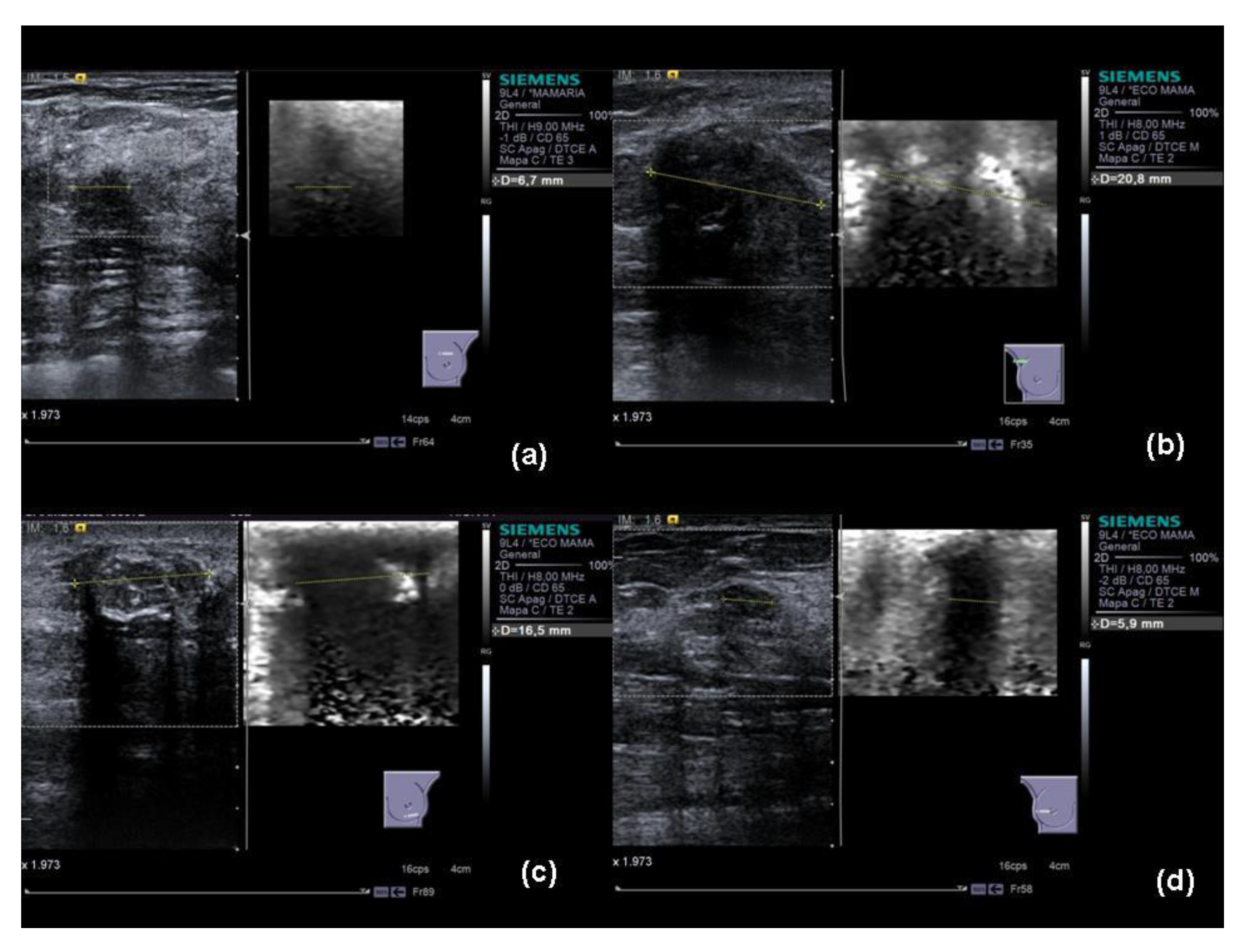 Applsci 11 01409 g001 Applsci 11 01409 g001