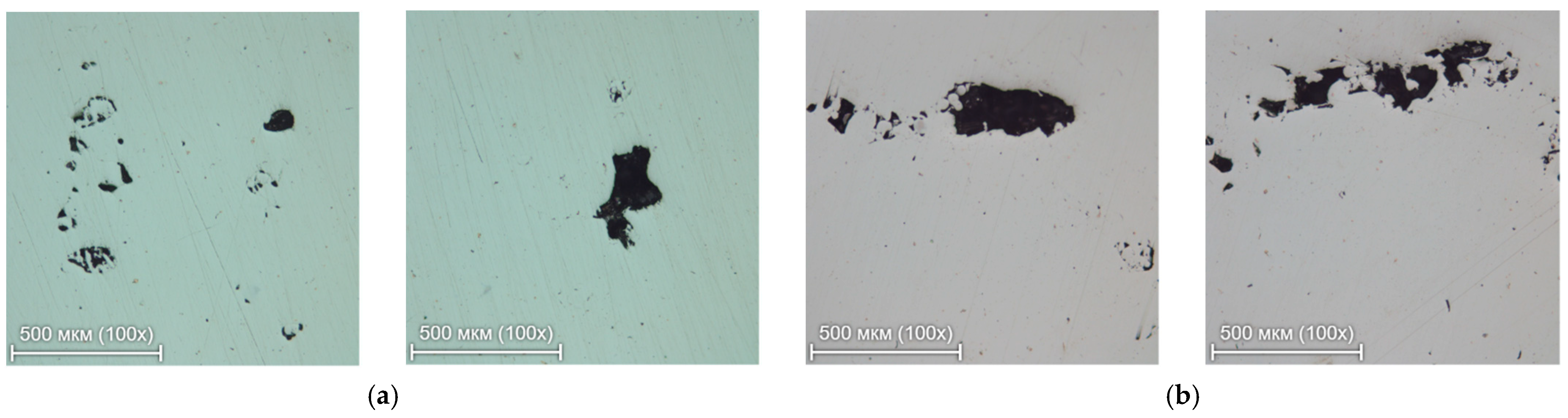 Applsci 11 01419 g004