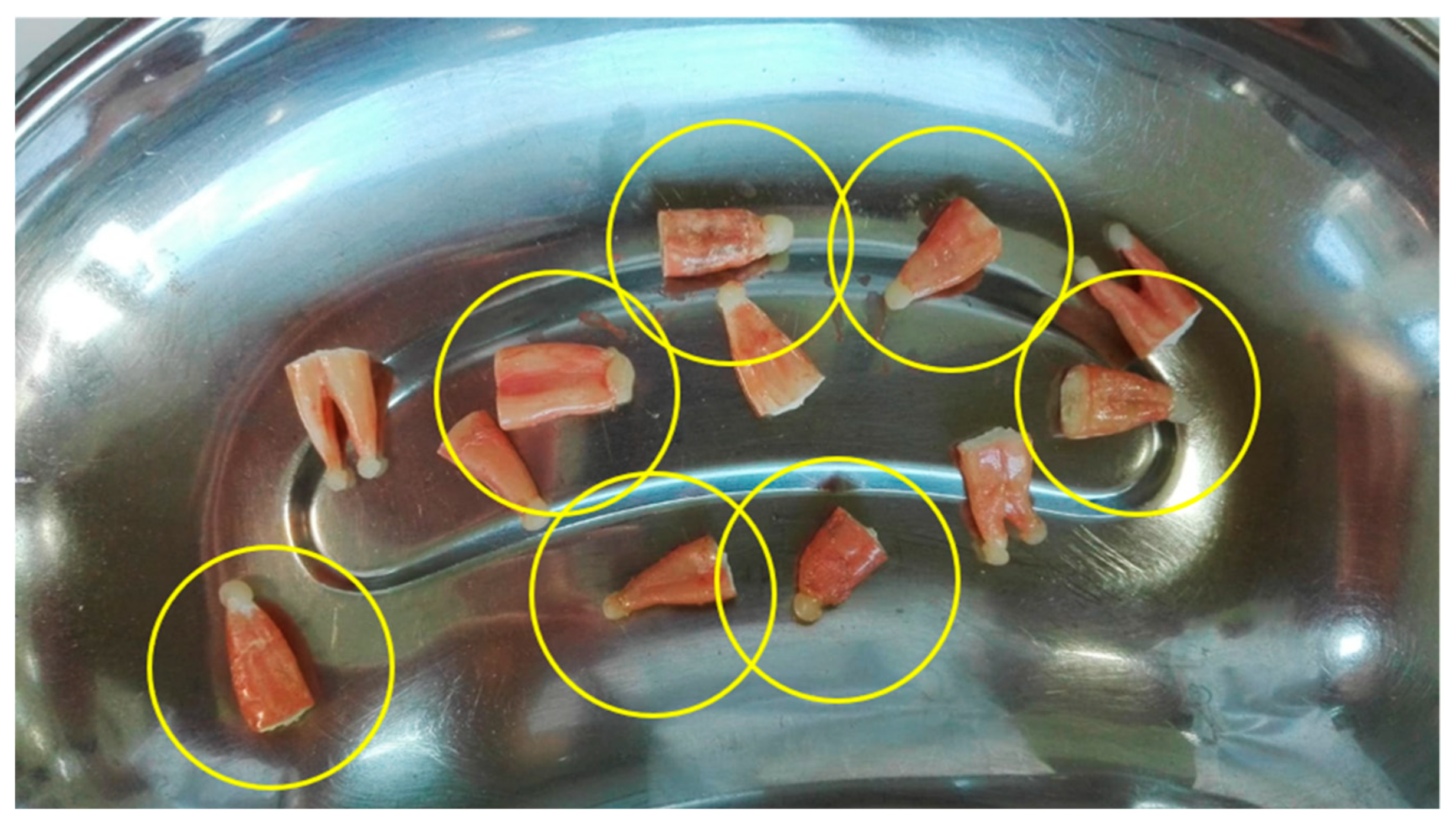 Applsci 11 01422 g001 Applsci 11 01422 g001