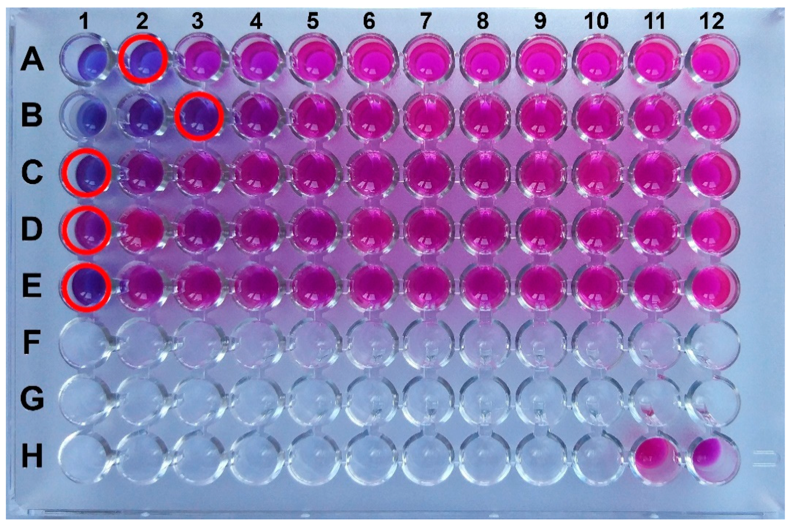 Applsci 11 01422 g002 Applsci 11 01422 g002