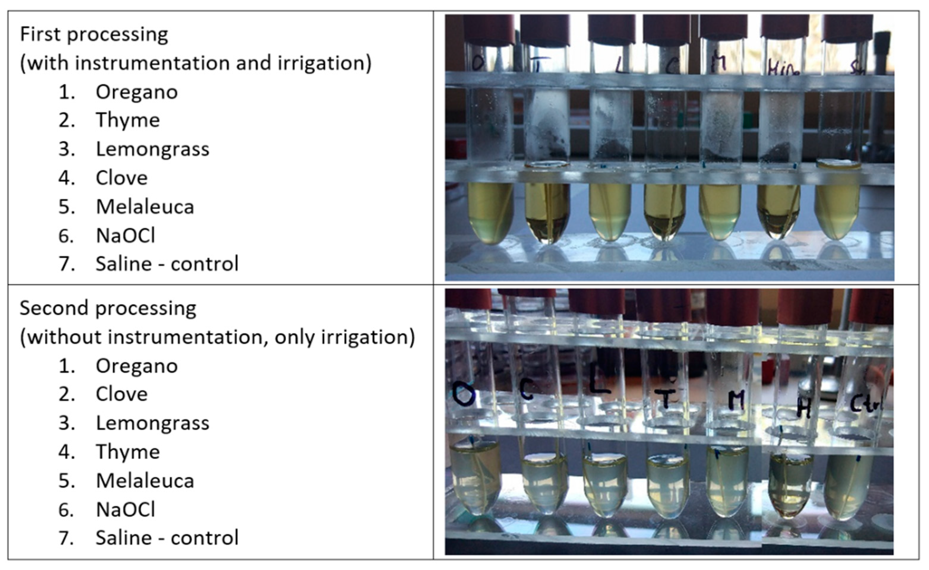 Applsci 11 01422 g003 Applsci 11 01422 g003