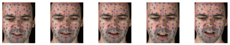 Applsci 11 01428 i001 Applsci 11 01428 i001